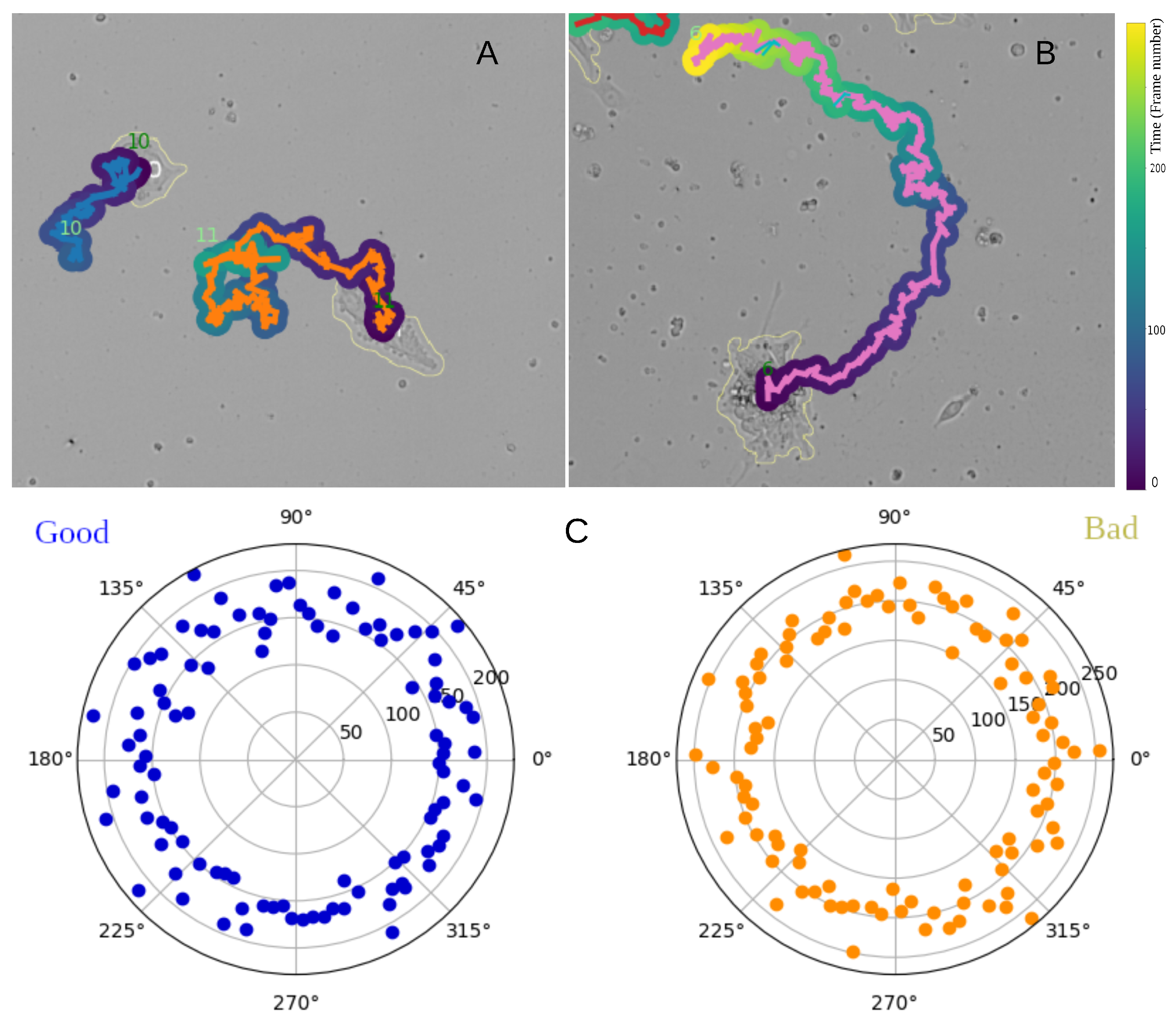 Mathematics 12 03584 g002