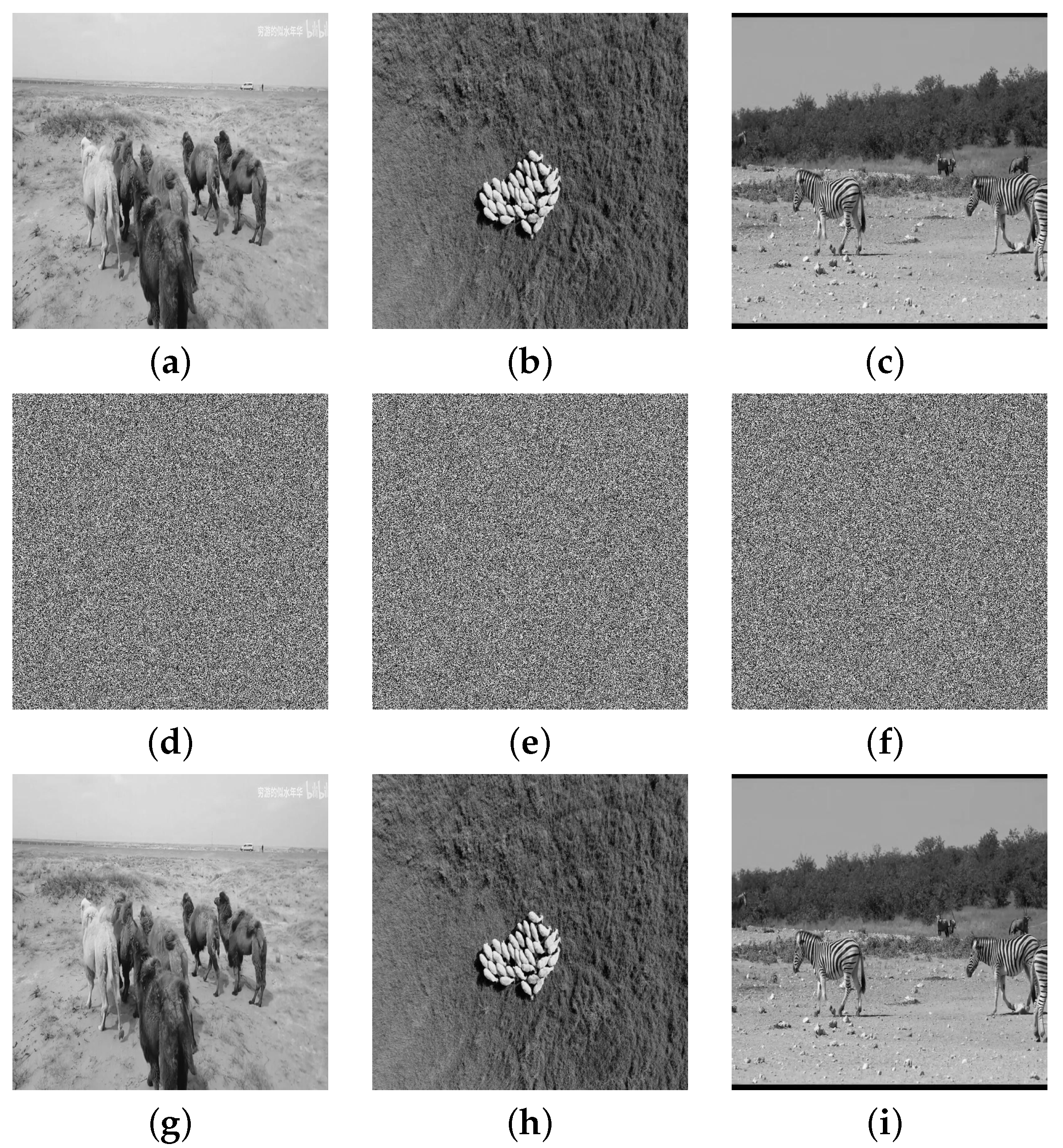 Mathematics 12 03602 g008