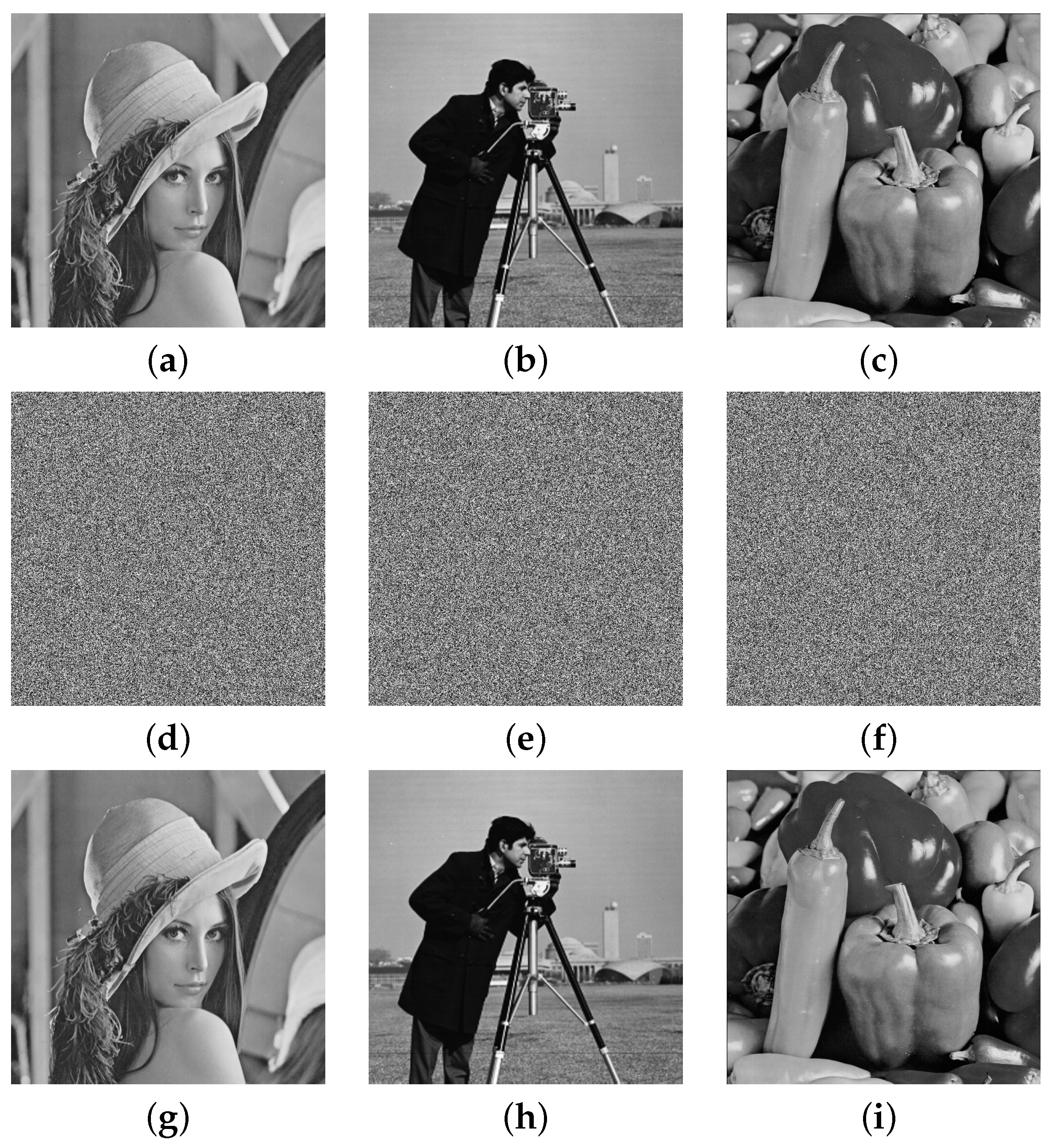 Mathematics 12 03602 g009