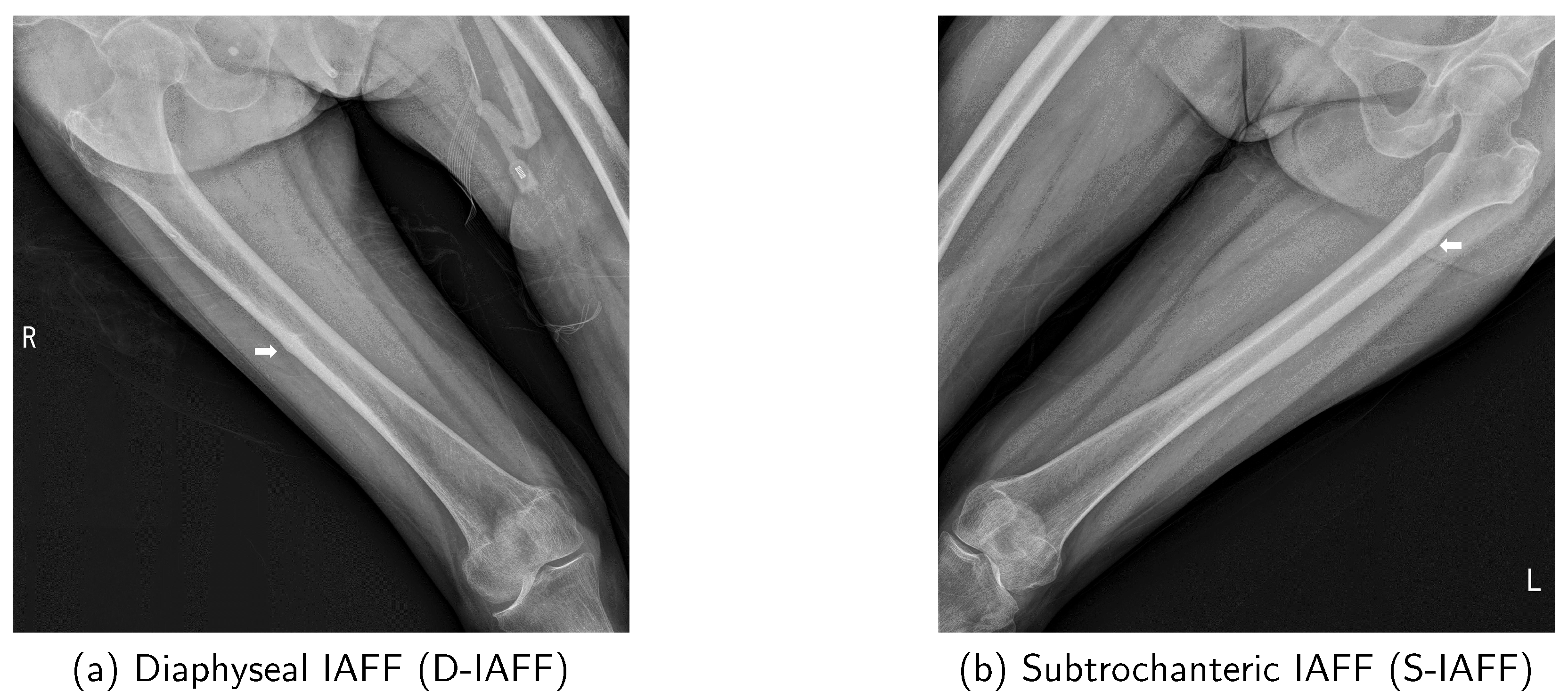 Mathematics 12 03613 g001
