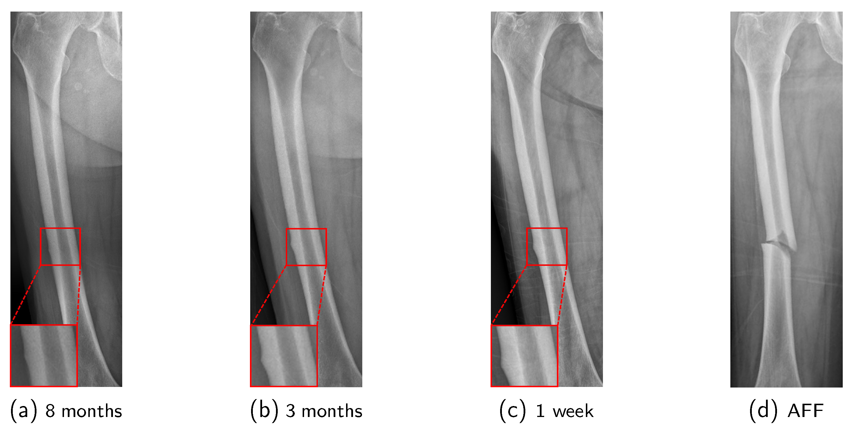 Mathematics 12 03613 g002