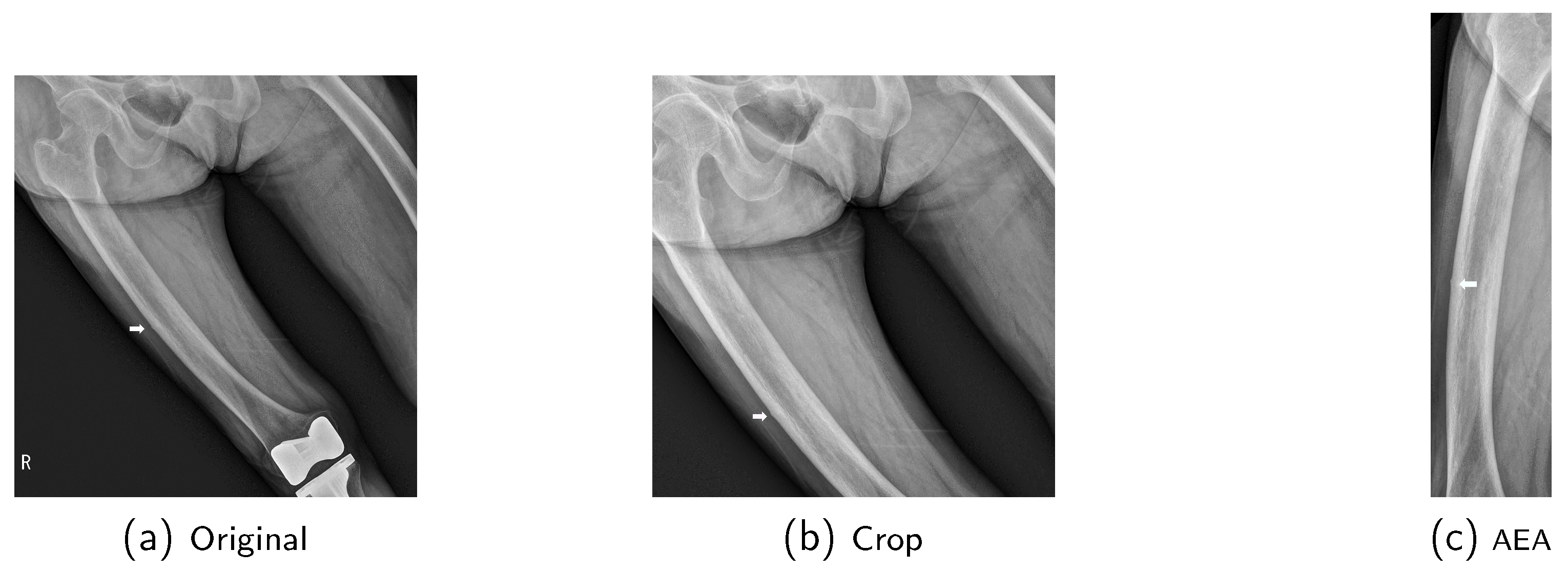 Mathematics 12 03613 g006