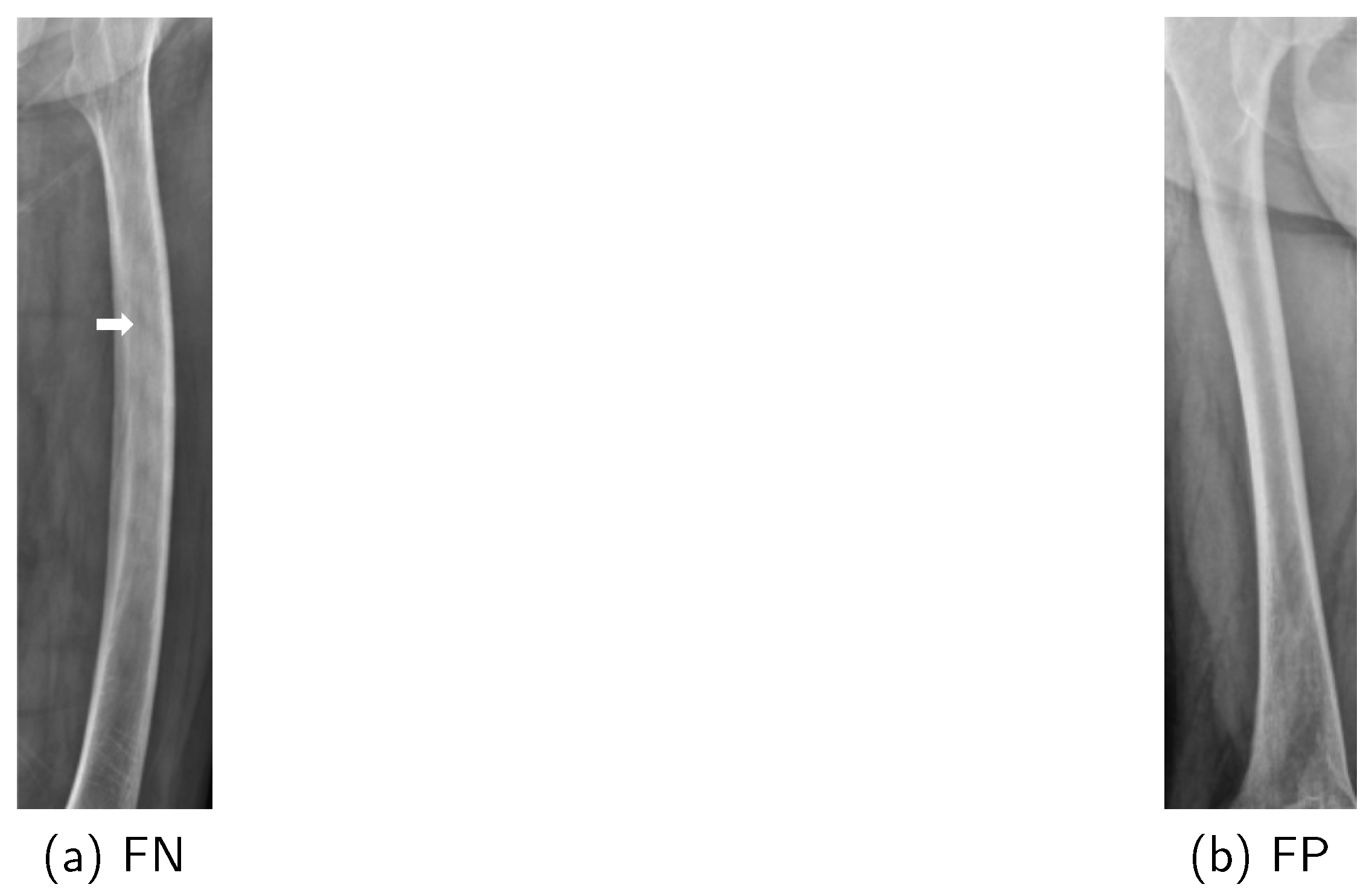 Mathematics 12 03613 g008