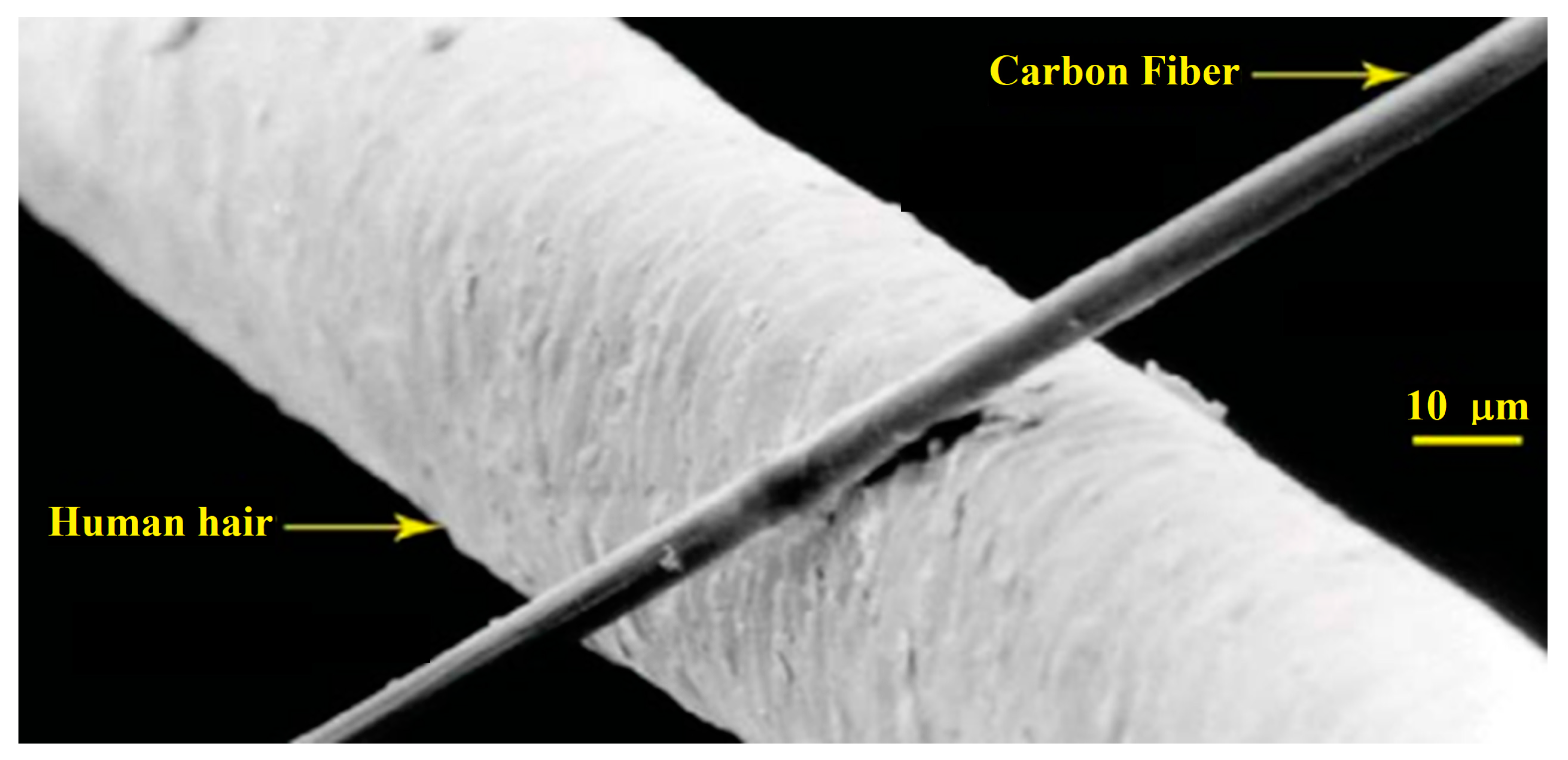 Mathematics 12 03673 g019