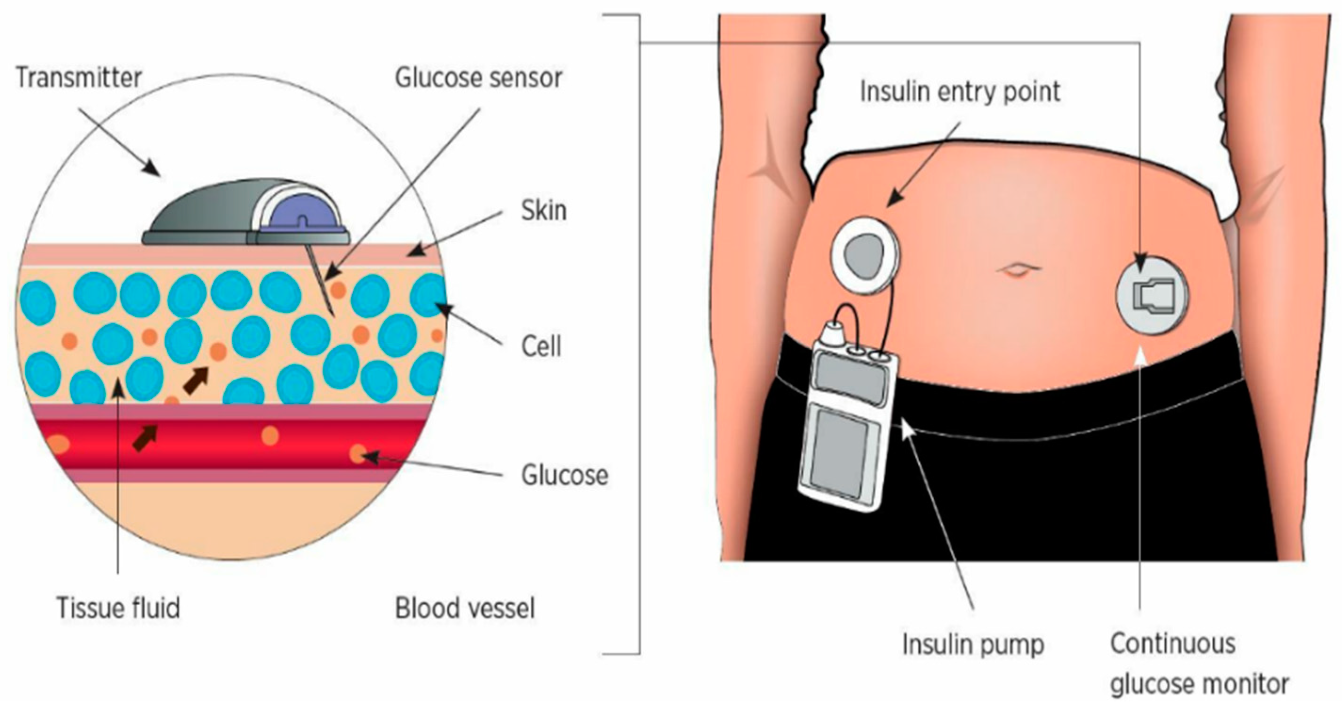 Mathematics 12 03708 g001