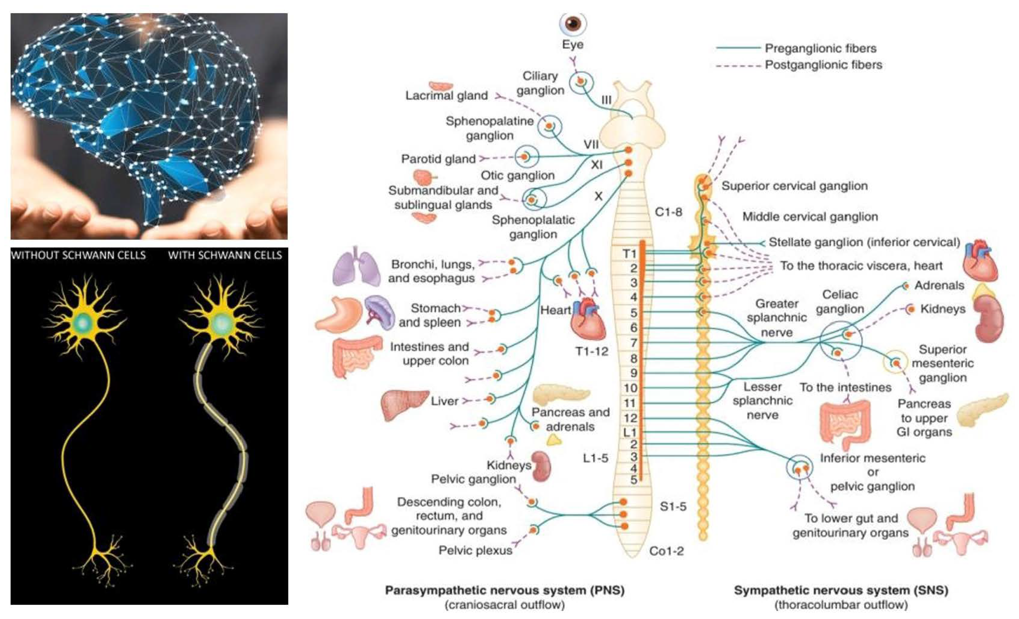 Mathematics 12 03763 g003