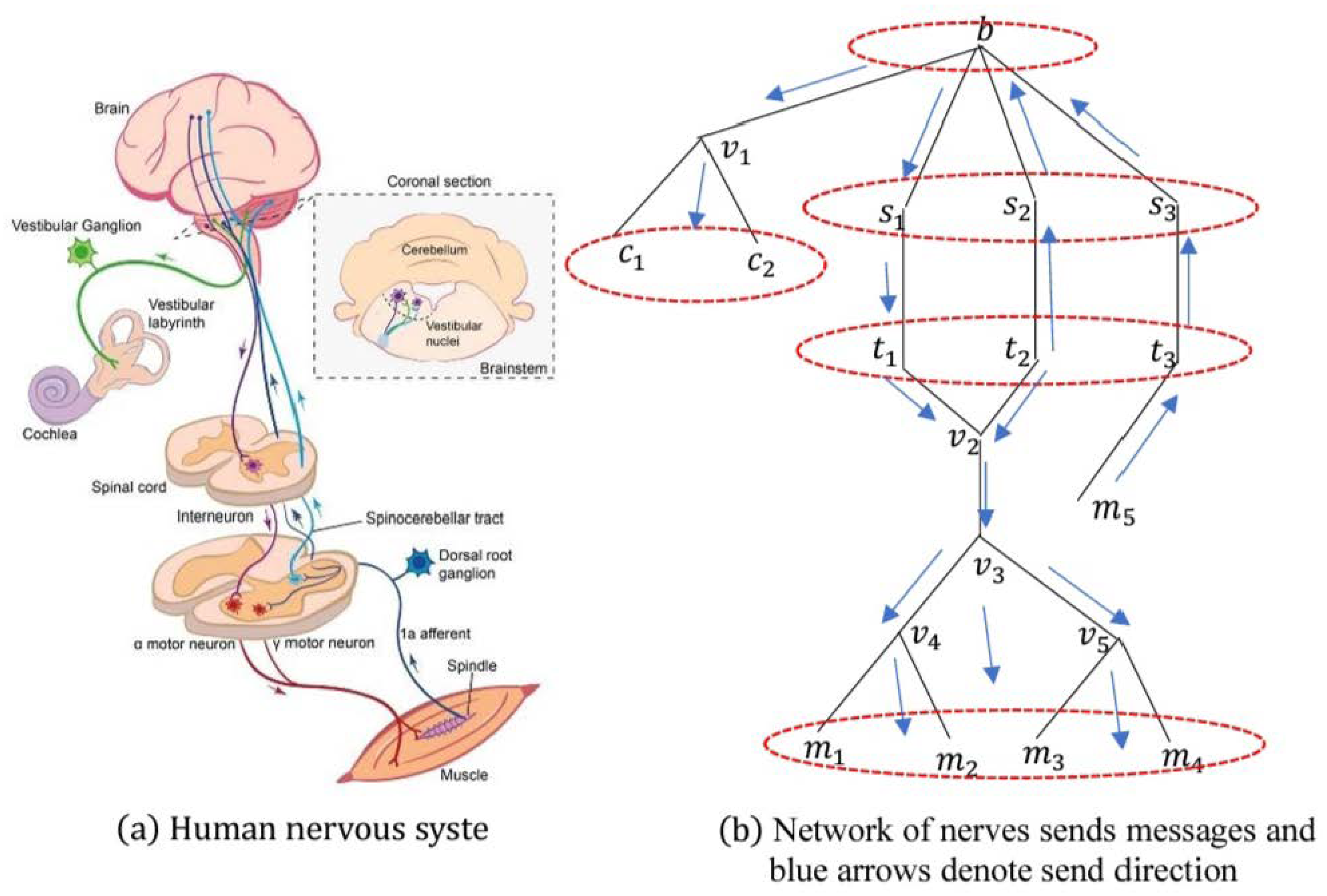 Mathematics 12 03763 g004