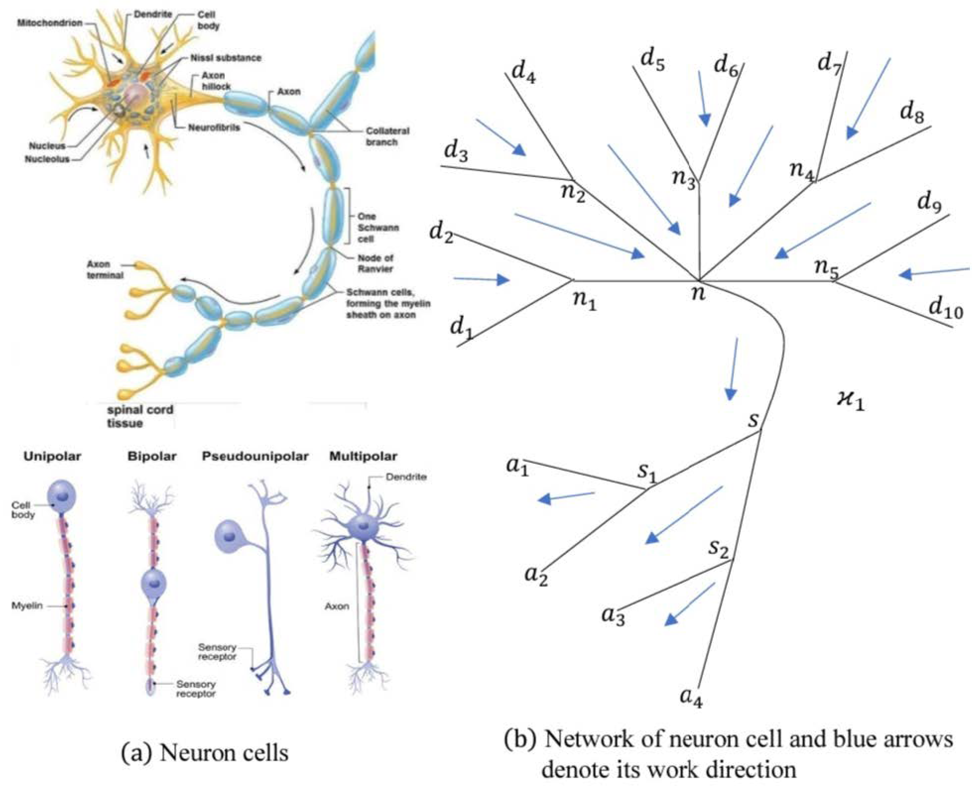 Mathematics 12 03763 g005