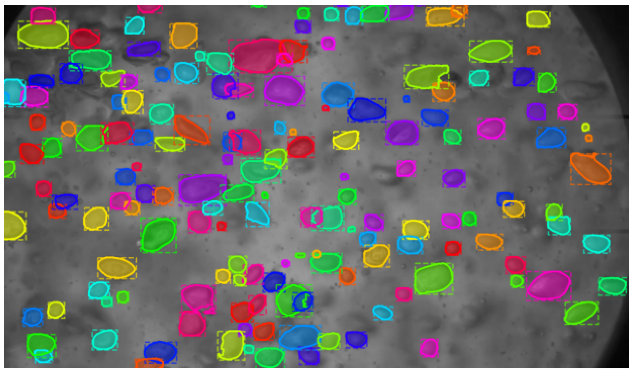 Mathematics 12 03864 g001