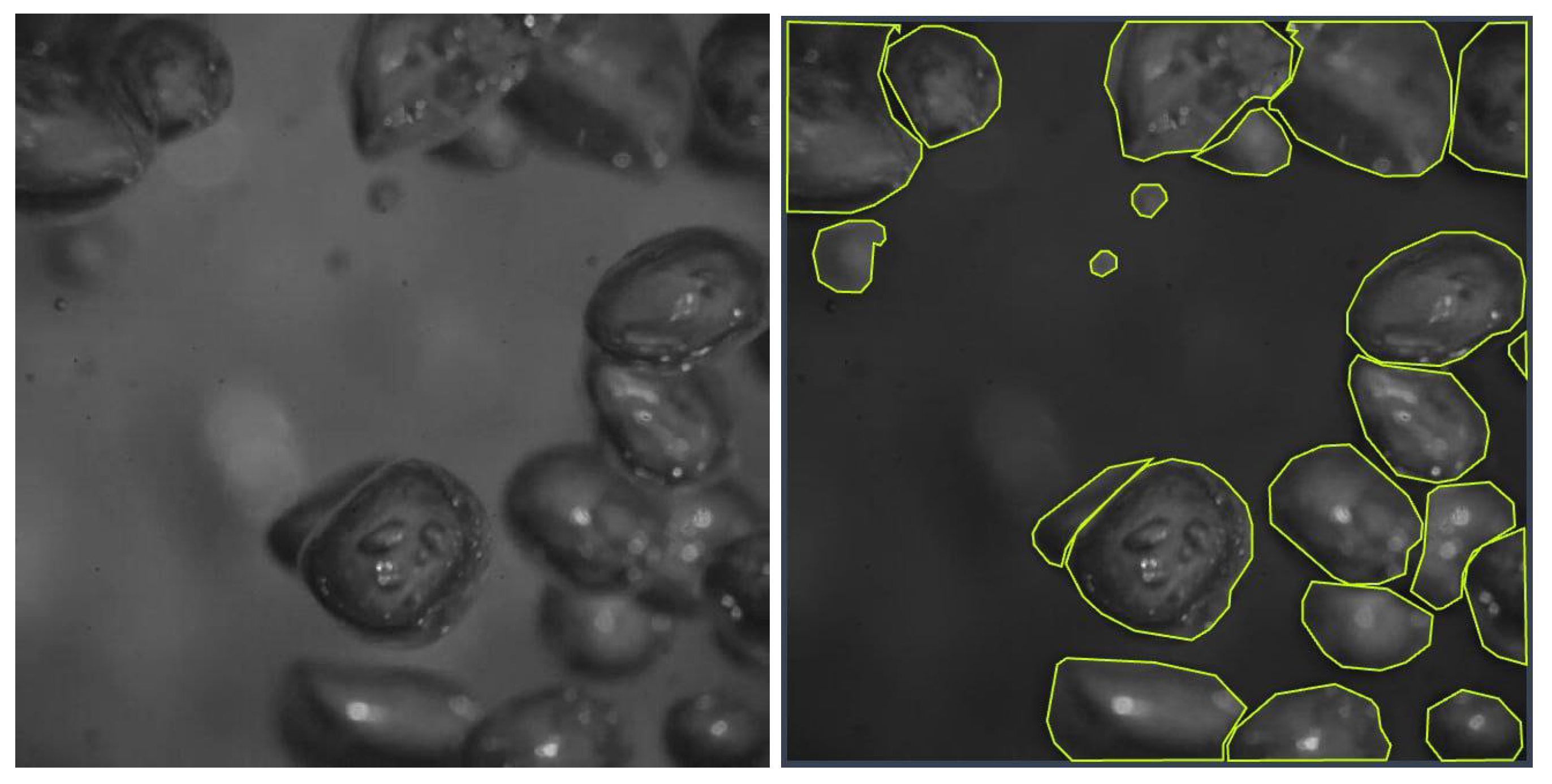 Mathematics 12 03864 g003