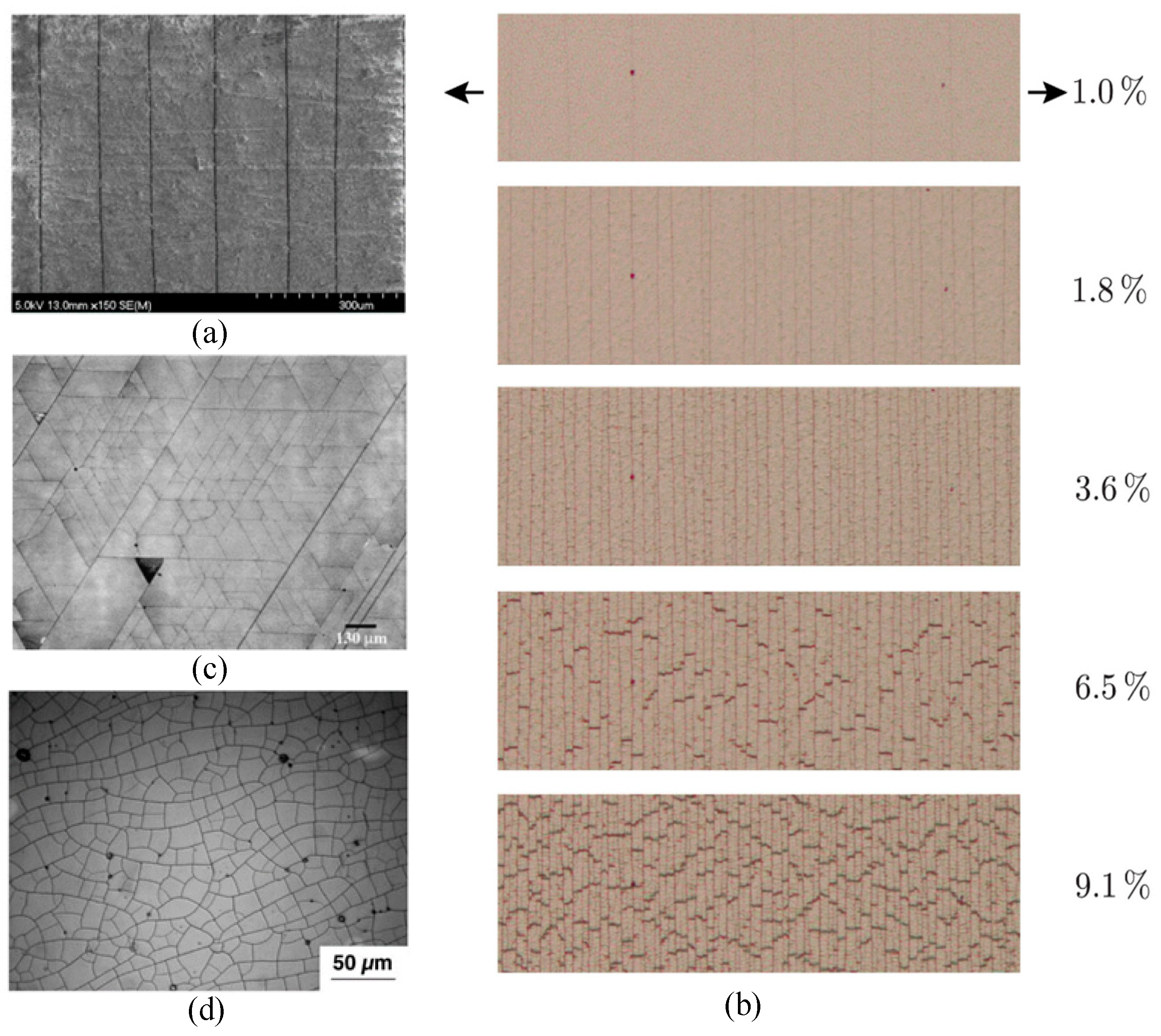 Mathematics 12 03881 g005 Mathematics 12 03881 g005
