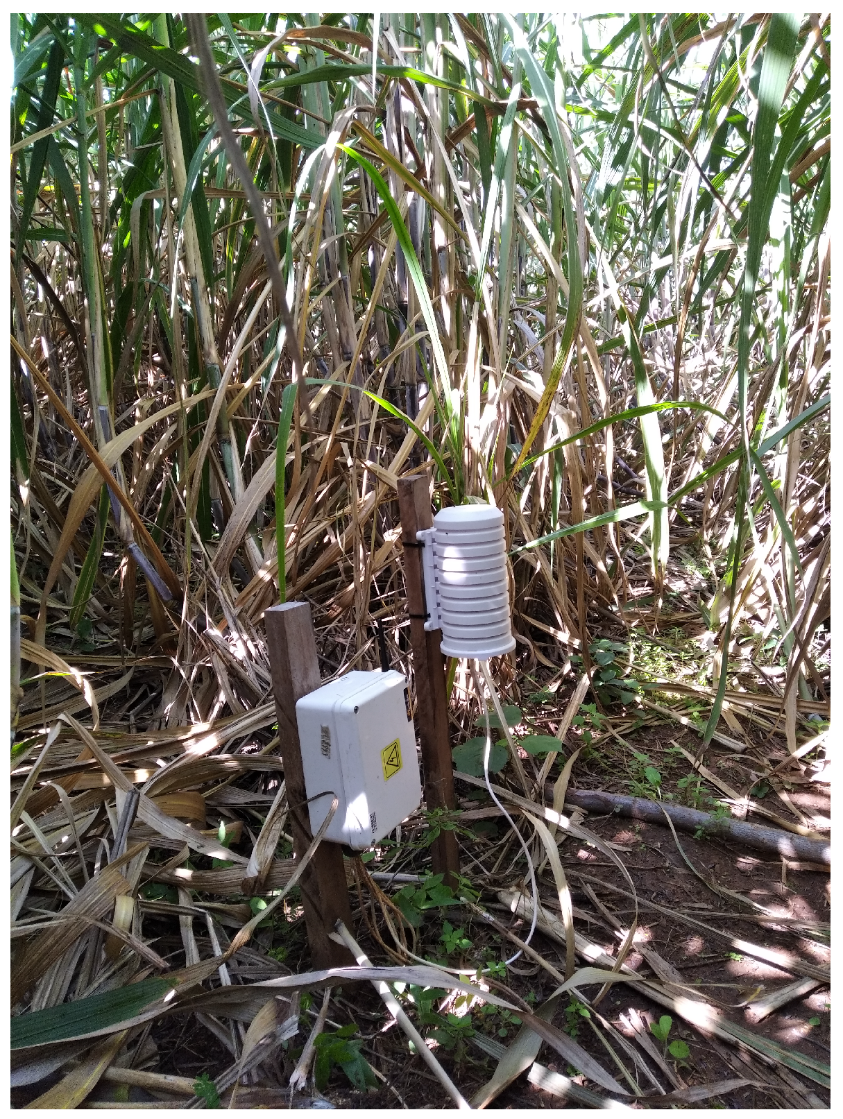 Mathematics 13 00055 g008