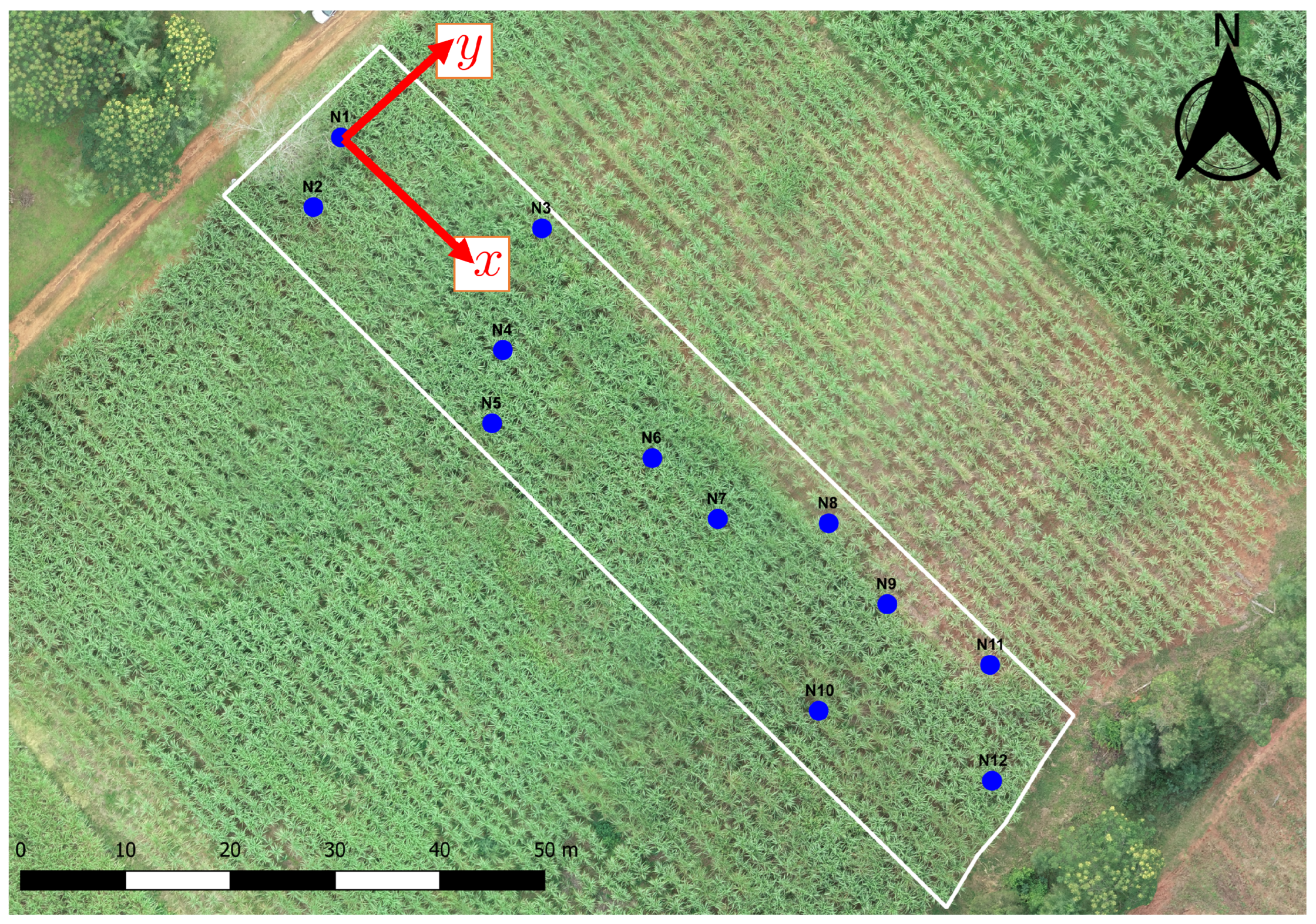 Mathematics 13 00055 g009