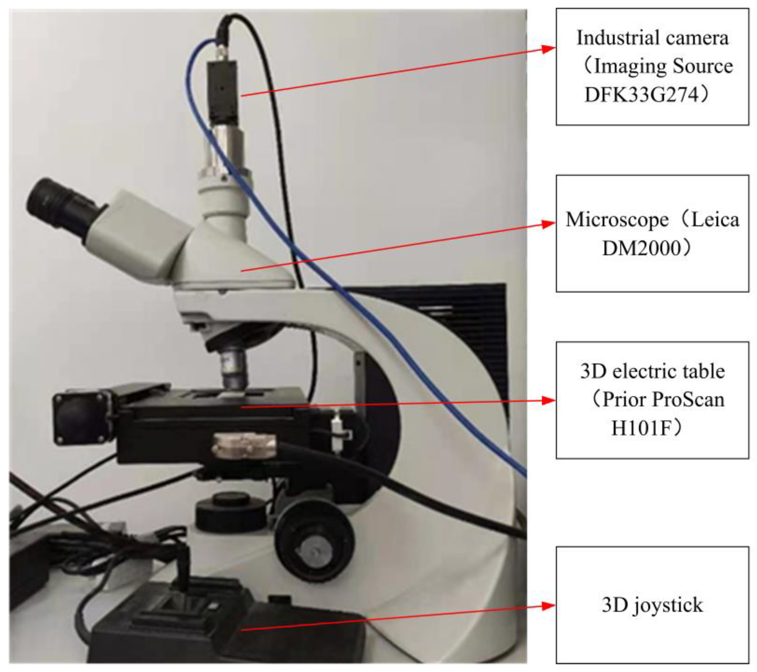 Mathematics 13 00417 g003