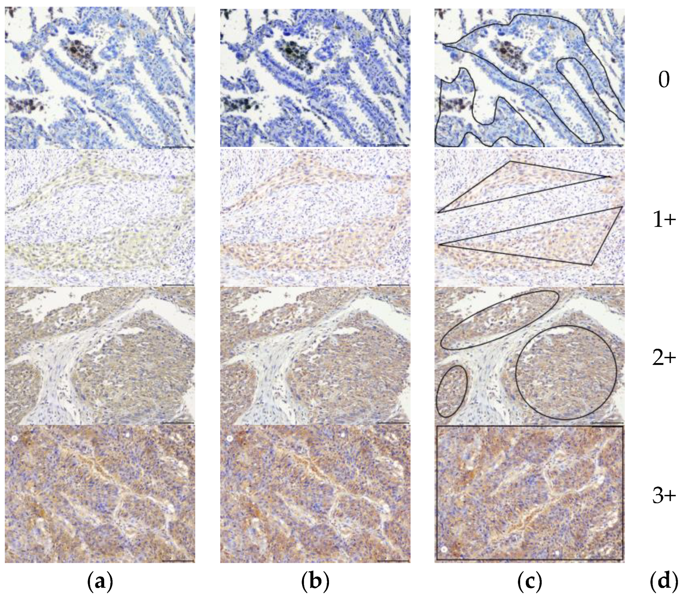 Mathematics 13 00417 g004