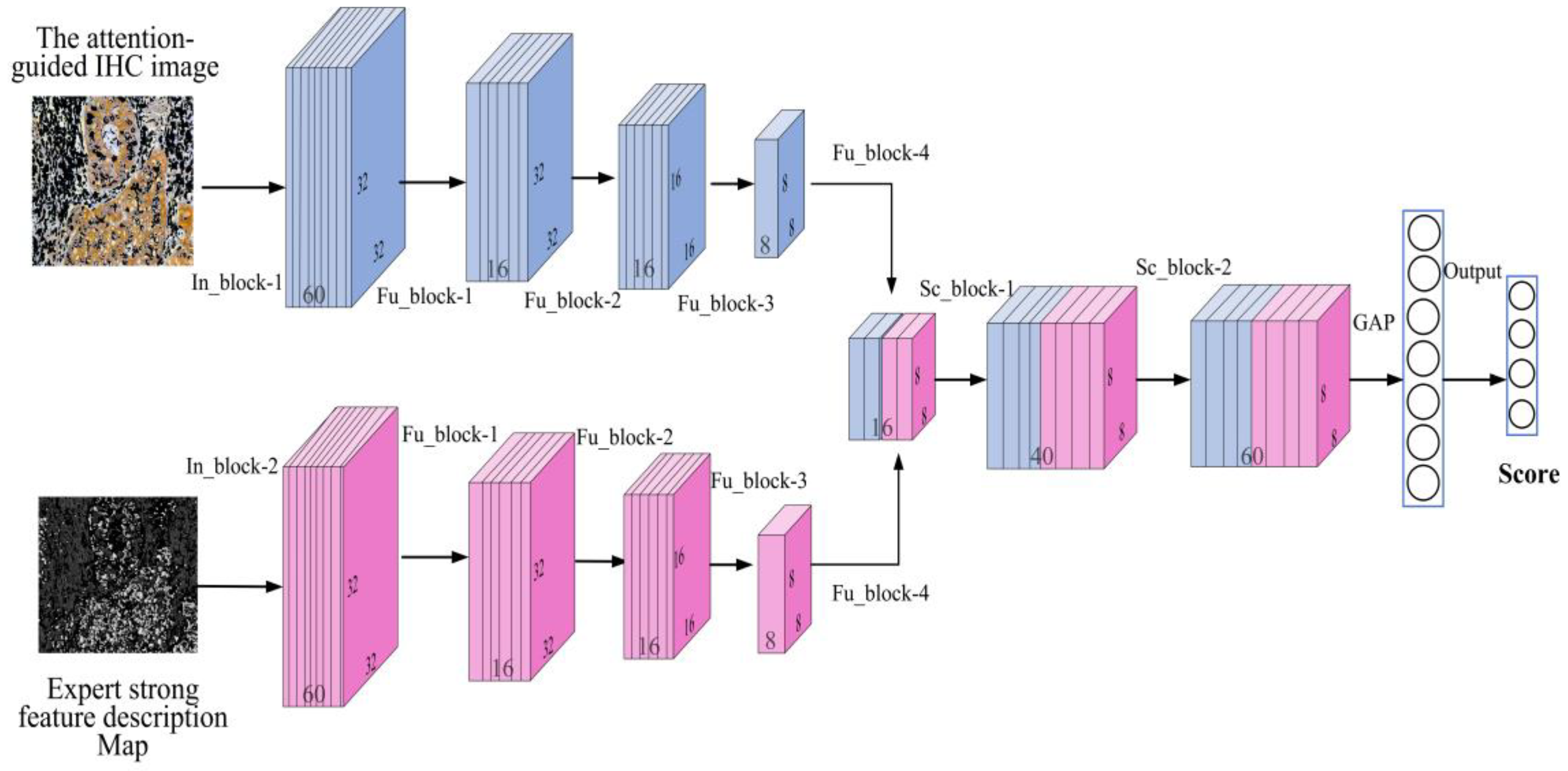 Mathematics 13 00417 g007