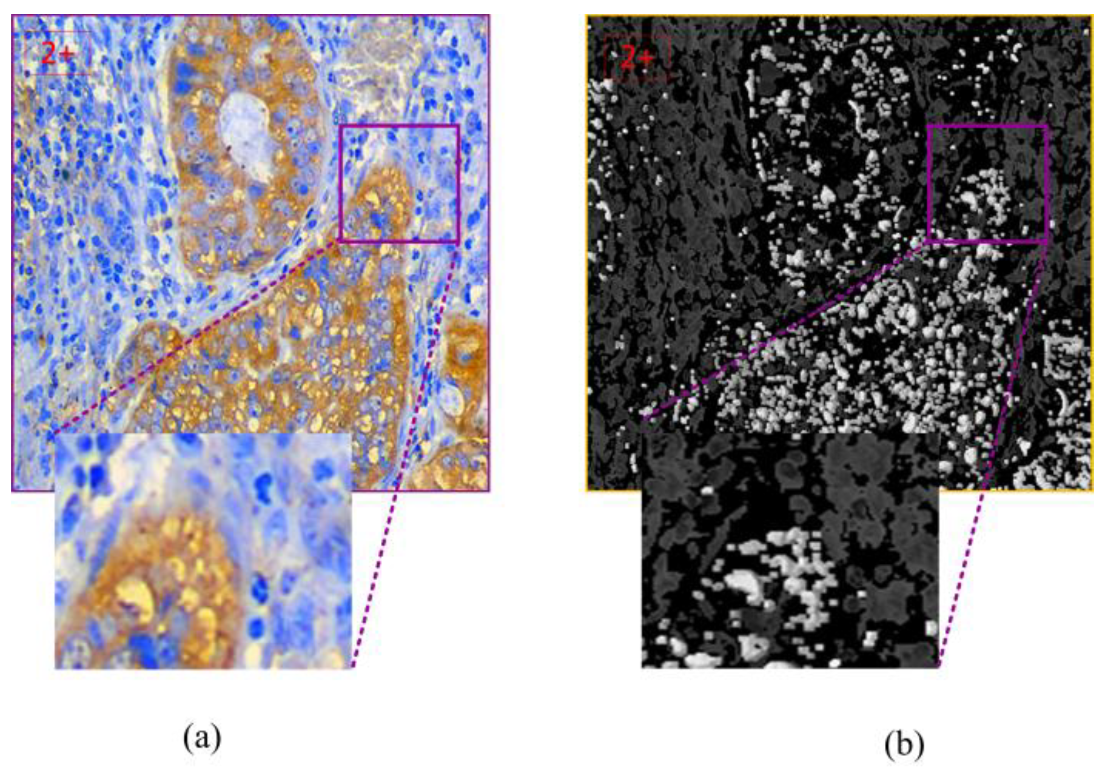 Mathematics 13 00417 g012