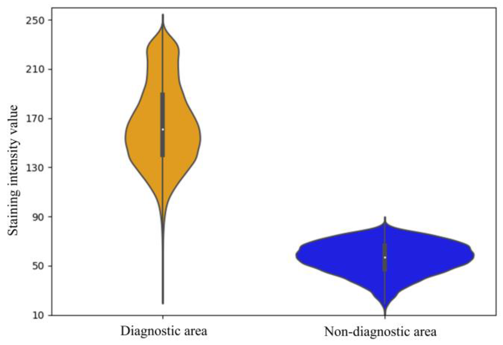 Mathematics 13 00417 g013