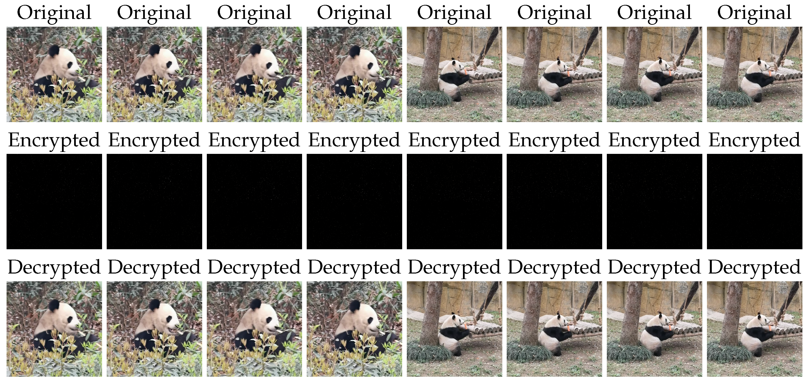 Mathematics 13 00644 g002