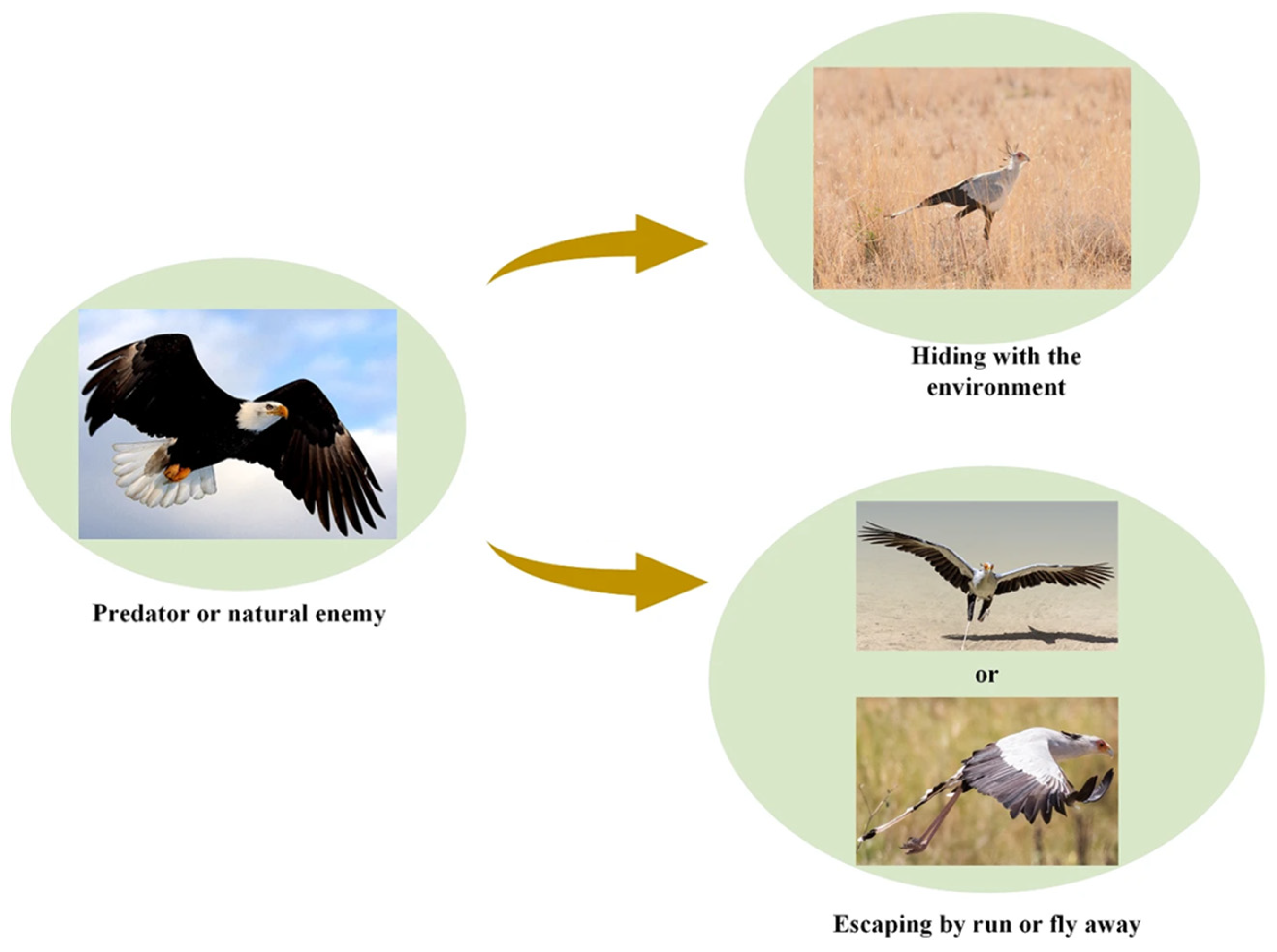 Mathematics 13 00668 g002