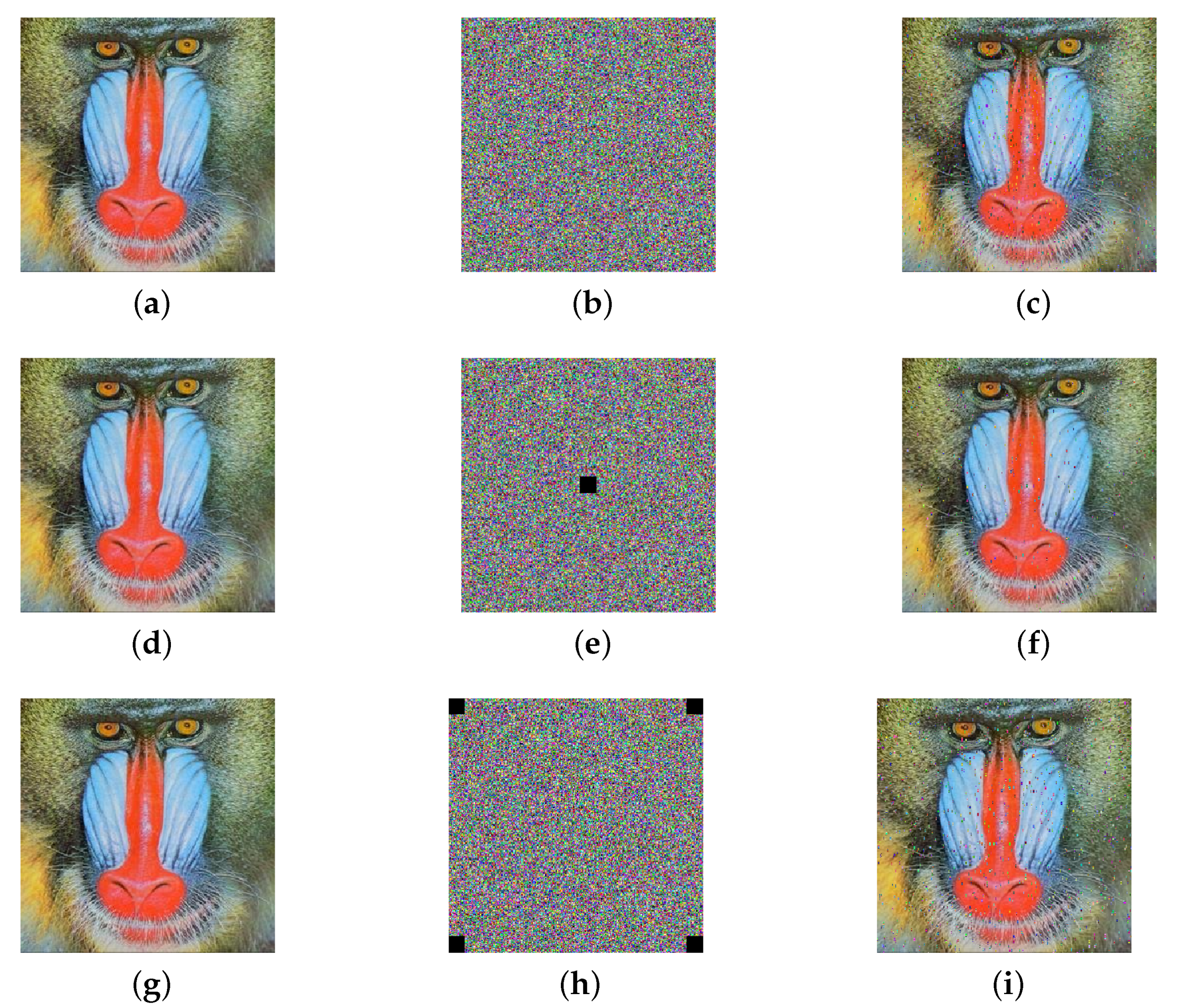 Mathematics 13 00726 g013
