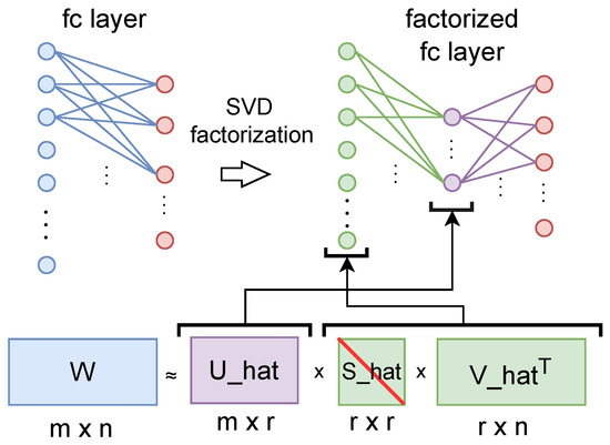 A Comparative Analysis of Compression and Transfer Learning