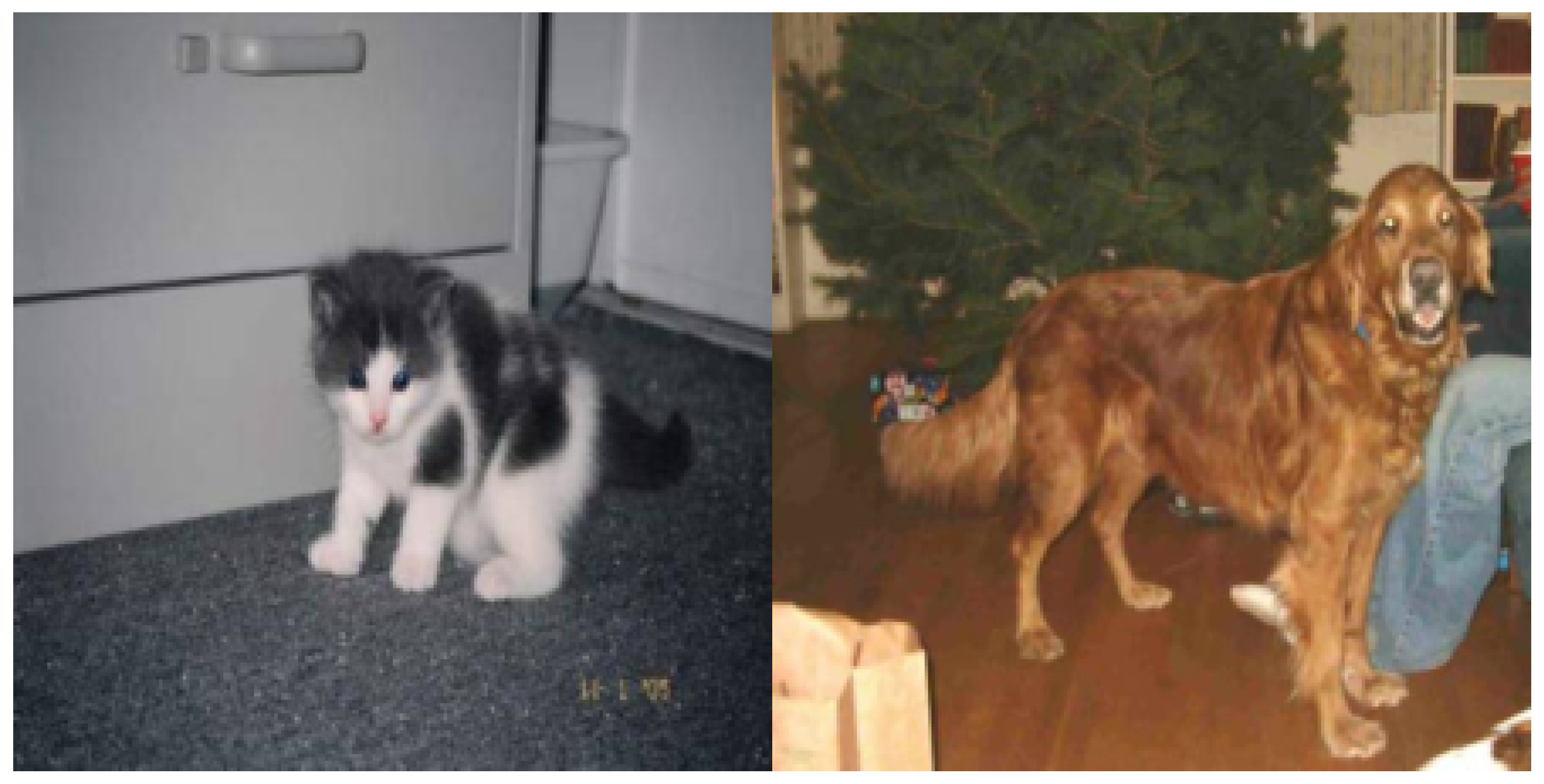 Mathematics 13 00887 g008