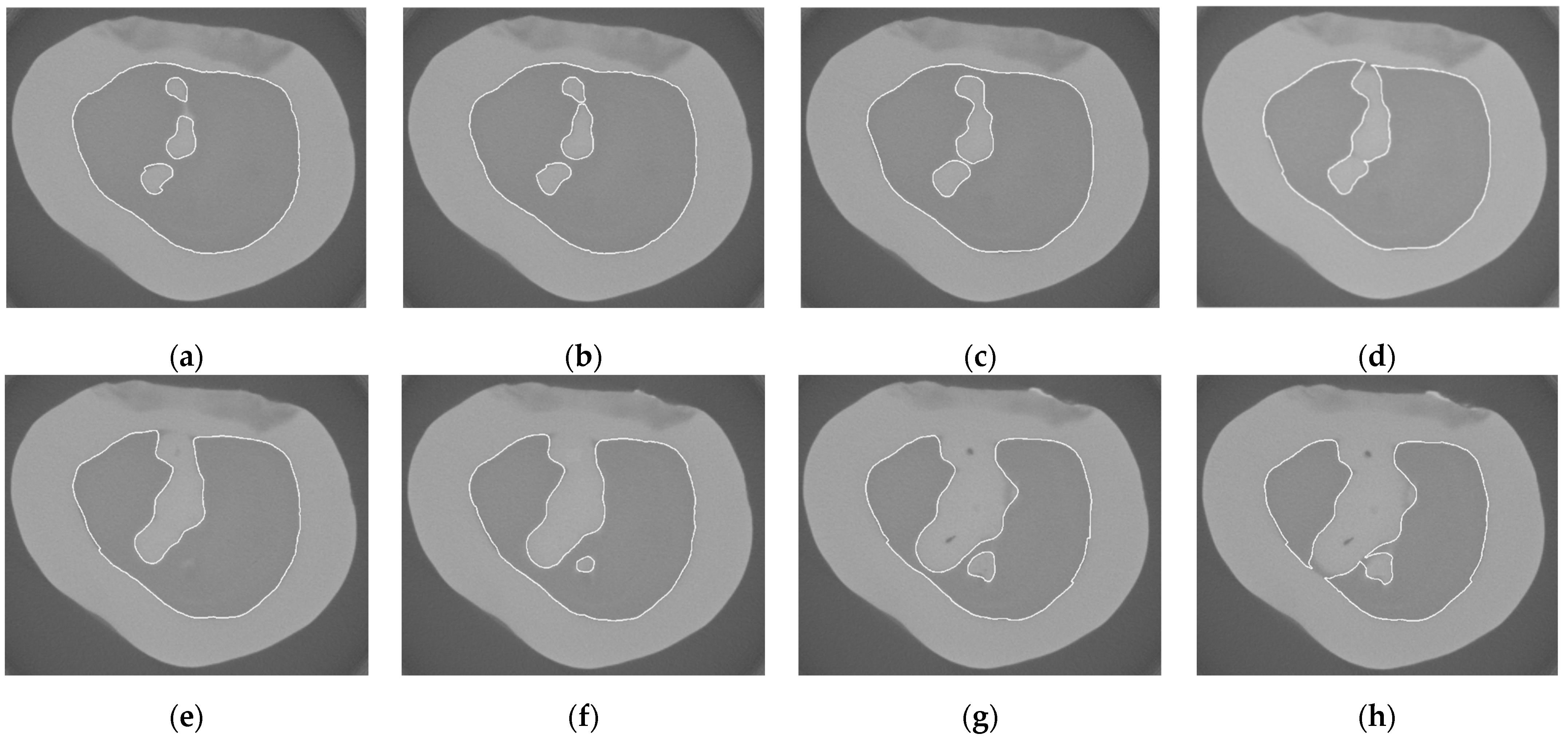 Mathematics 13 00991 g012
