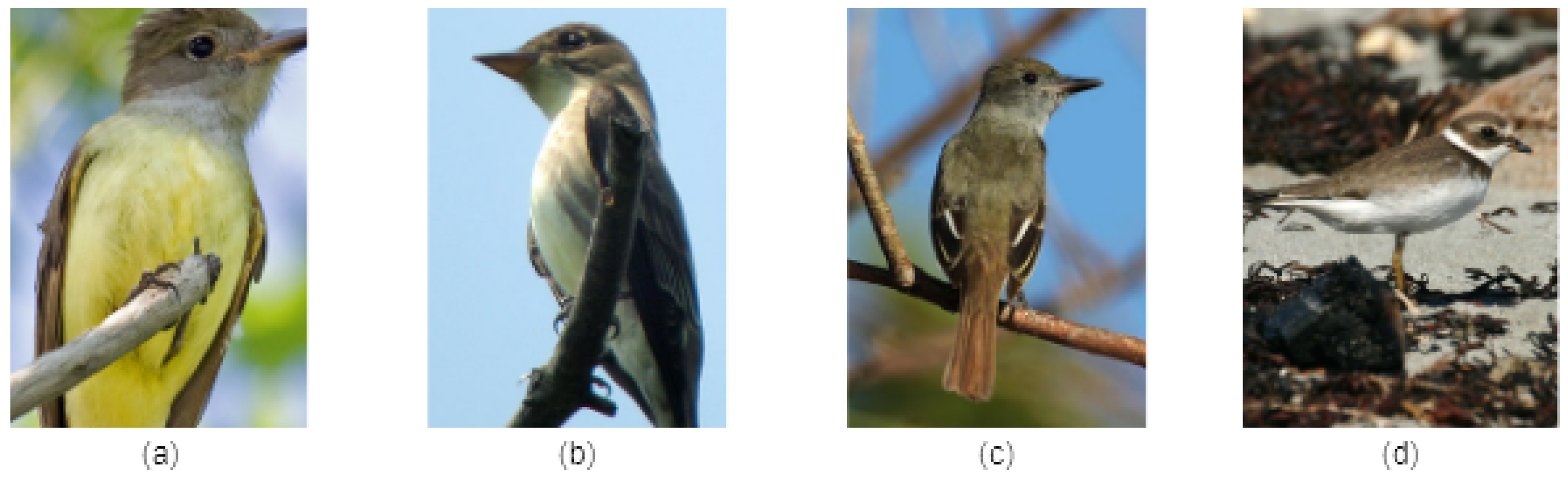 Mathematics 13 01340 g001