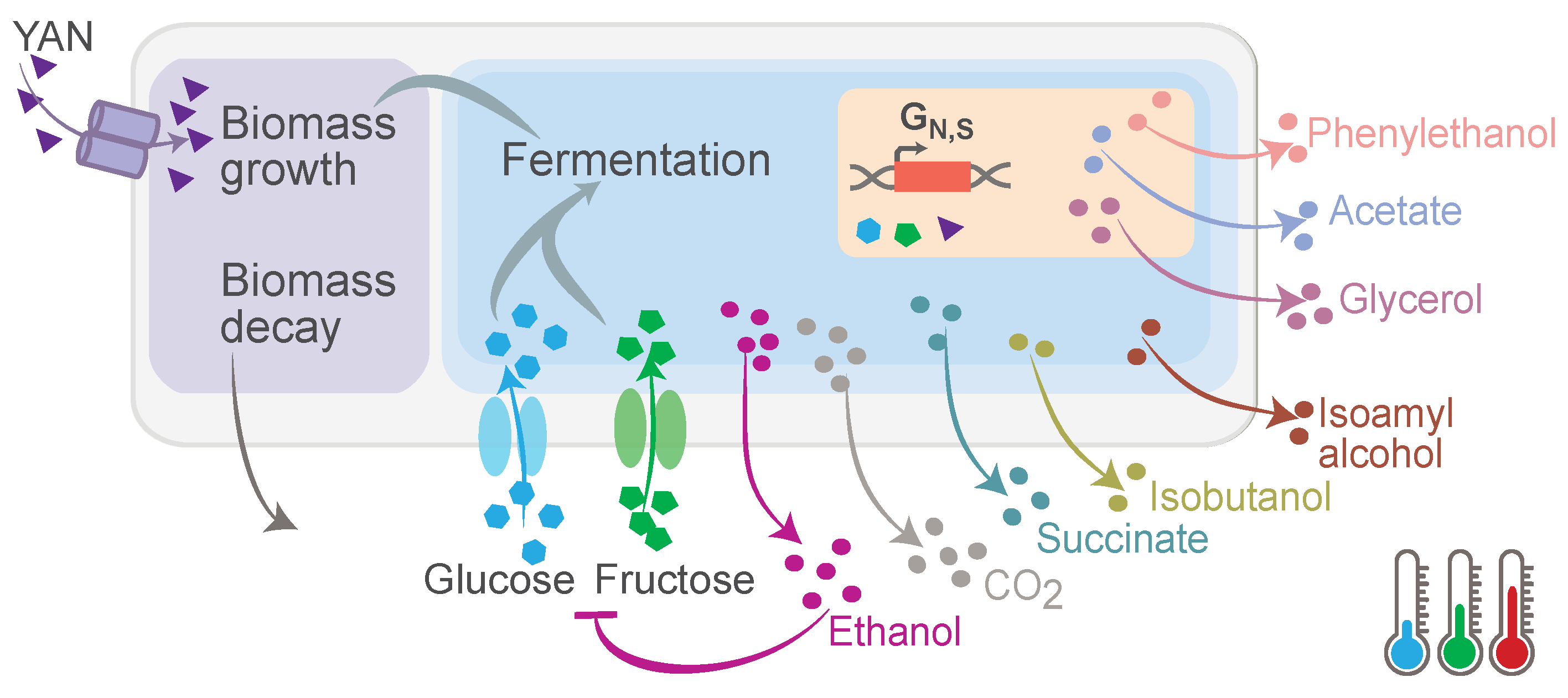 Mathematics 13 01373 g001