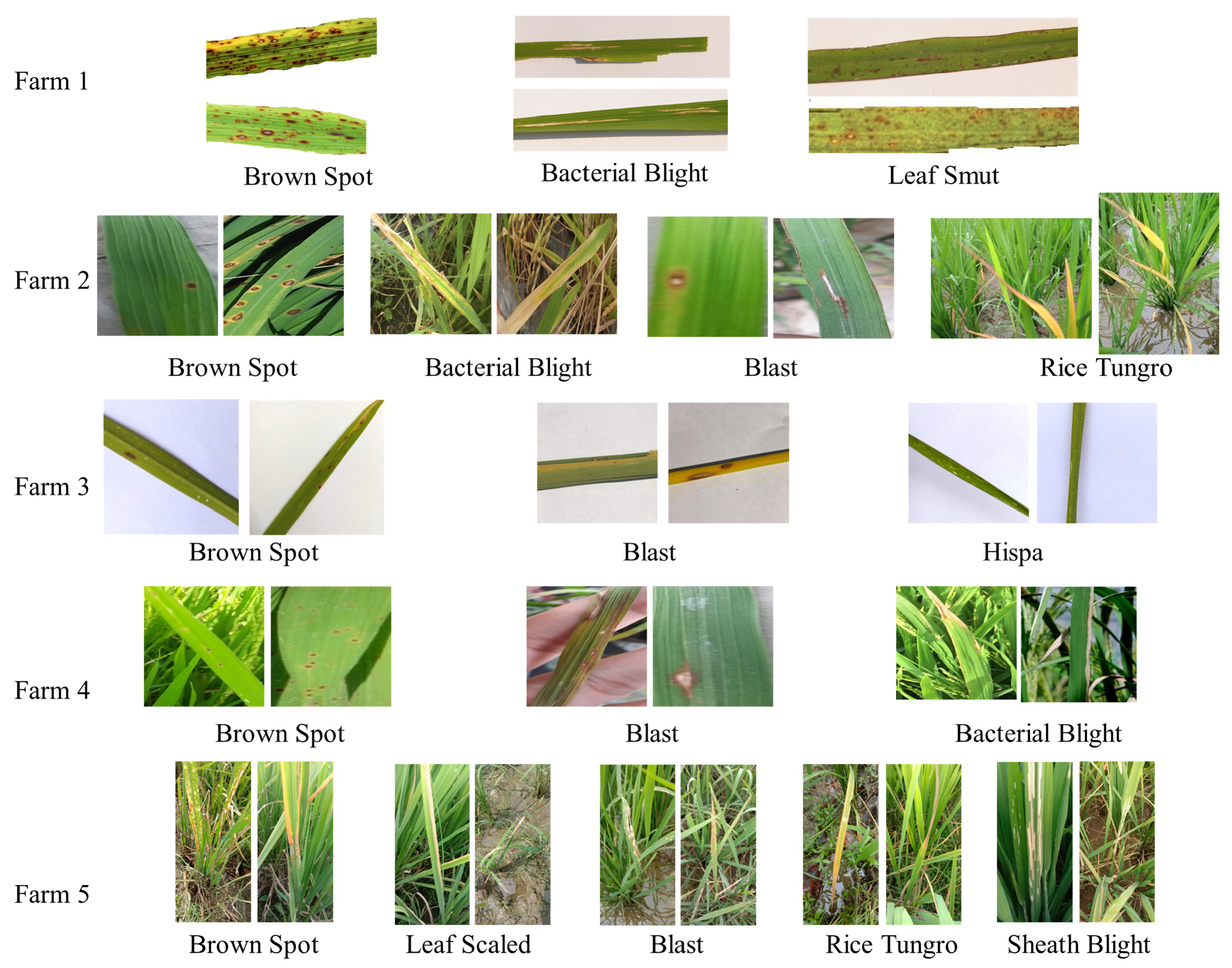 Mathematics 13 01401 g005