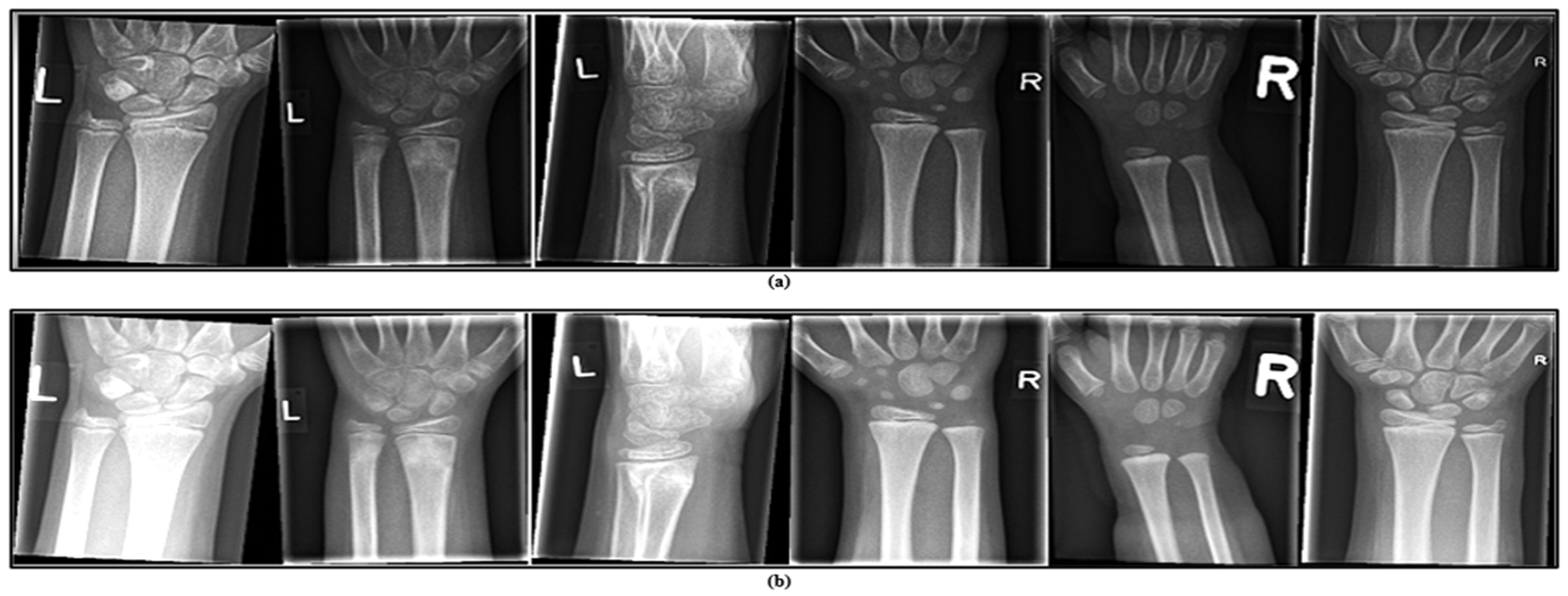 Mathematics 13 01419 g005
