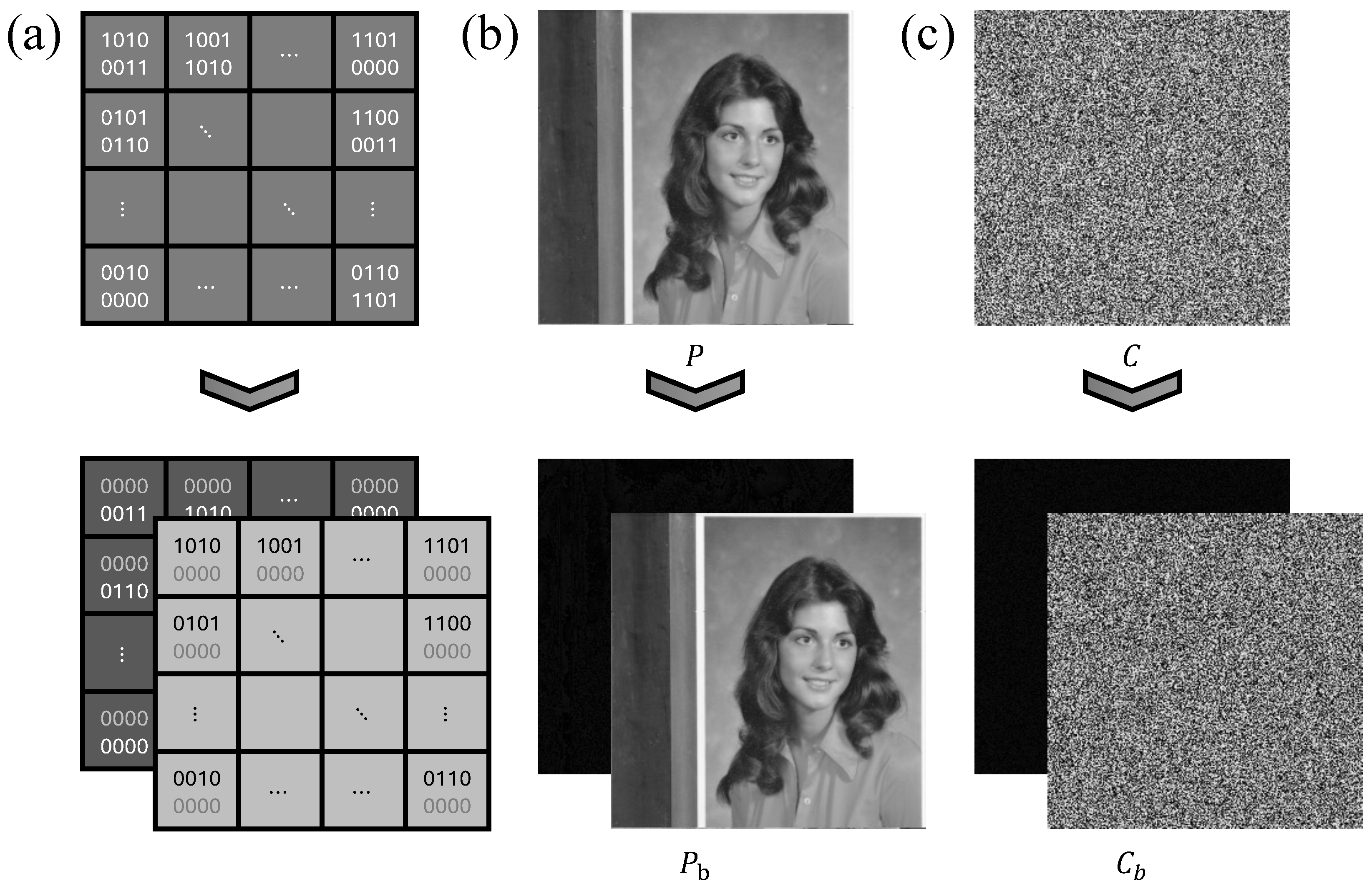 Mathematics 13 01497 g011
