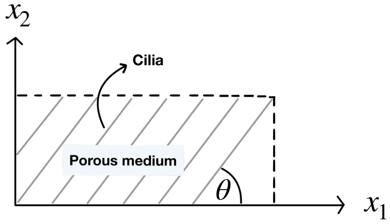 Mathematics 13 01703 g002