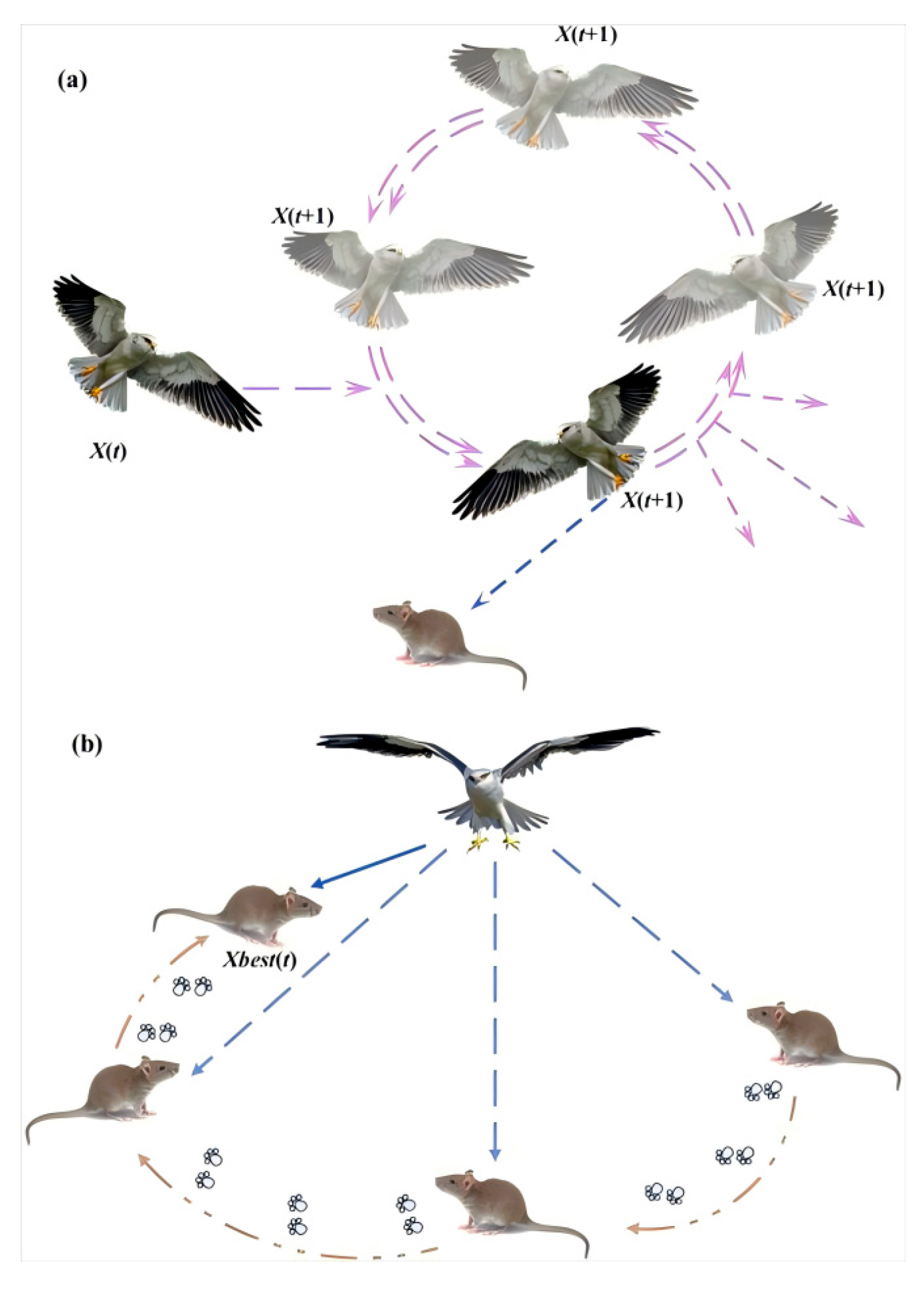 Mathematics 13 01895 g003