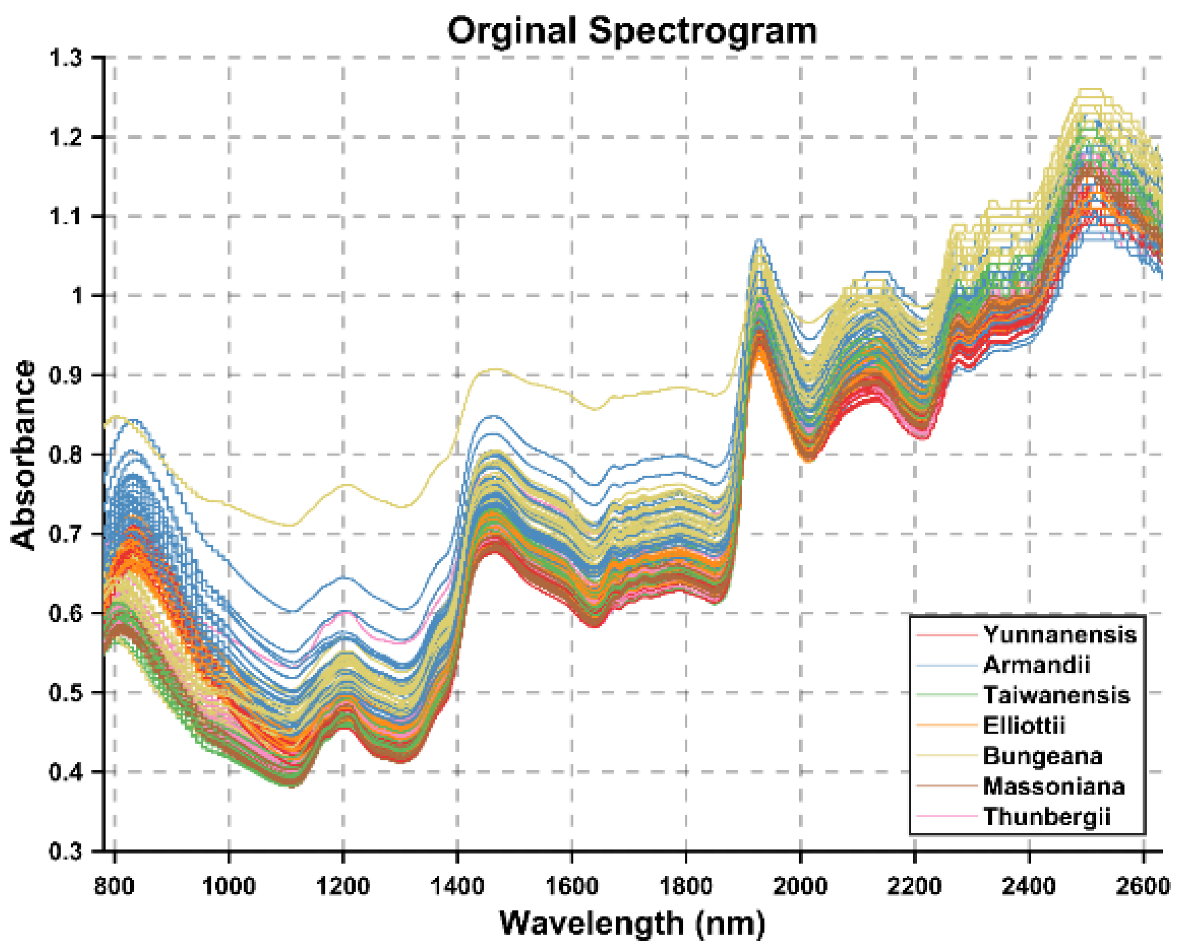 Mathematics 13 02009 g001