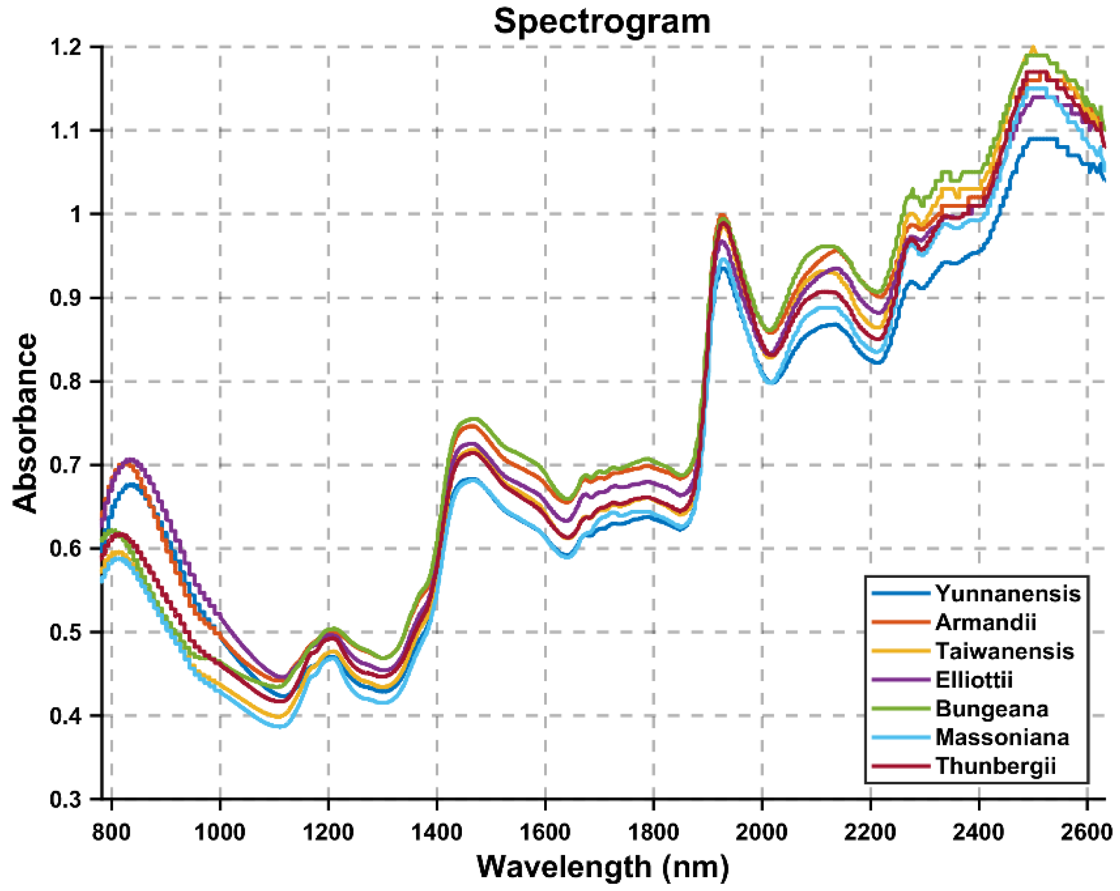 Mathematics 13 02009 g002