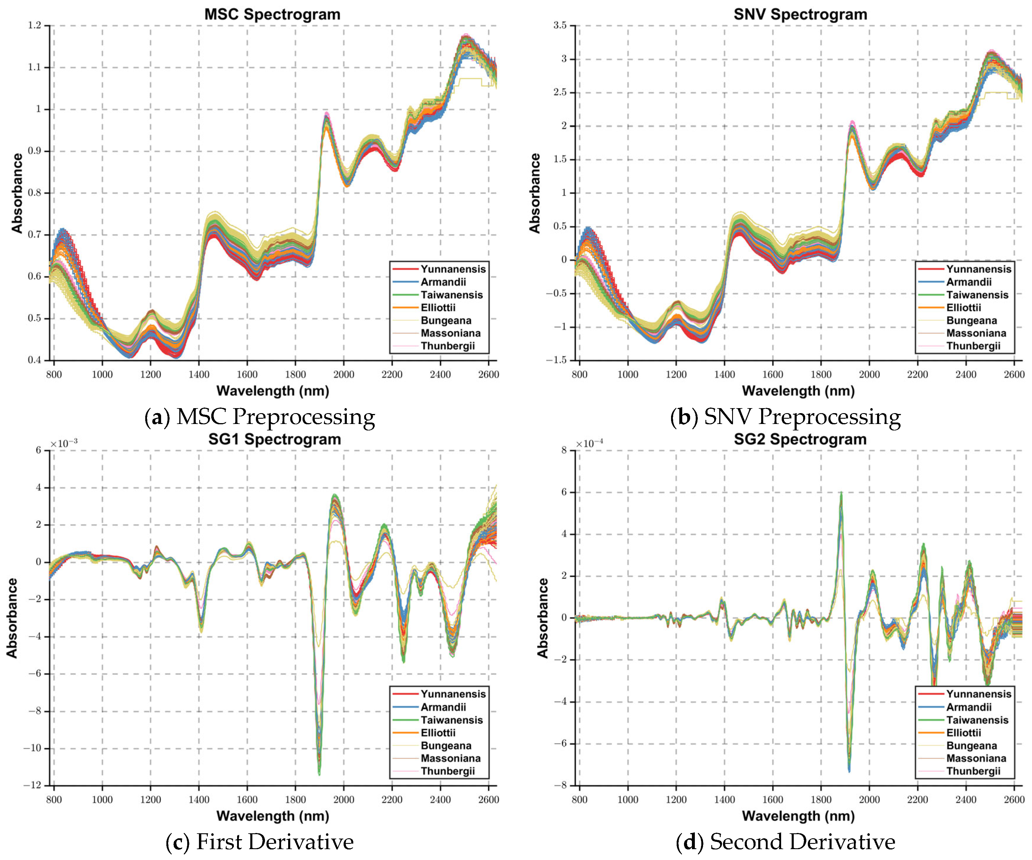 Mathematics 13 02009 g003