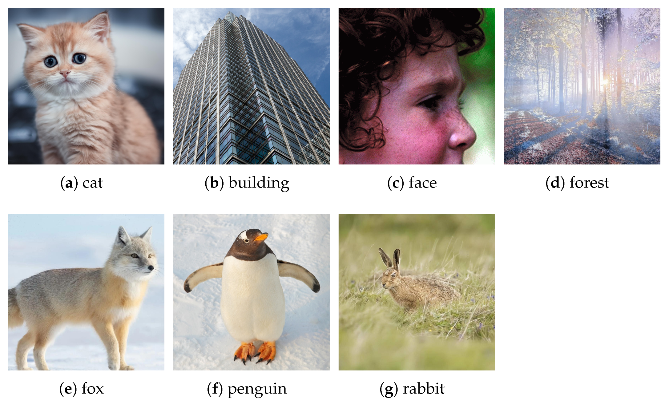 Mathematics 13 02254 g001