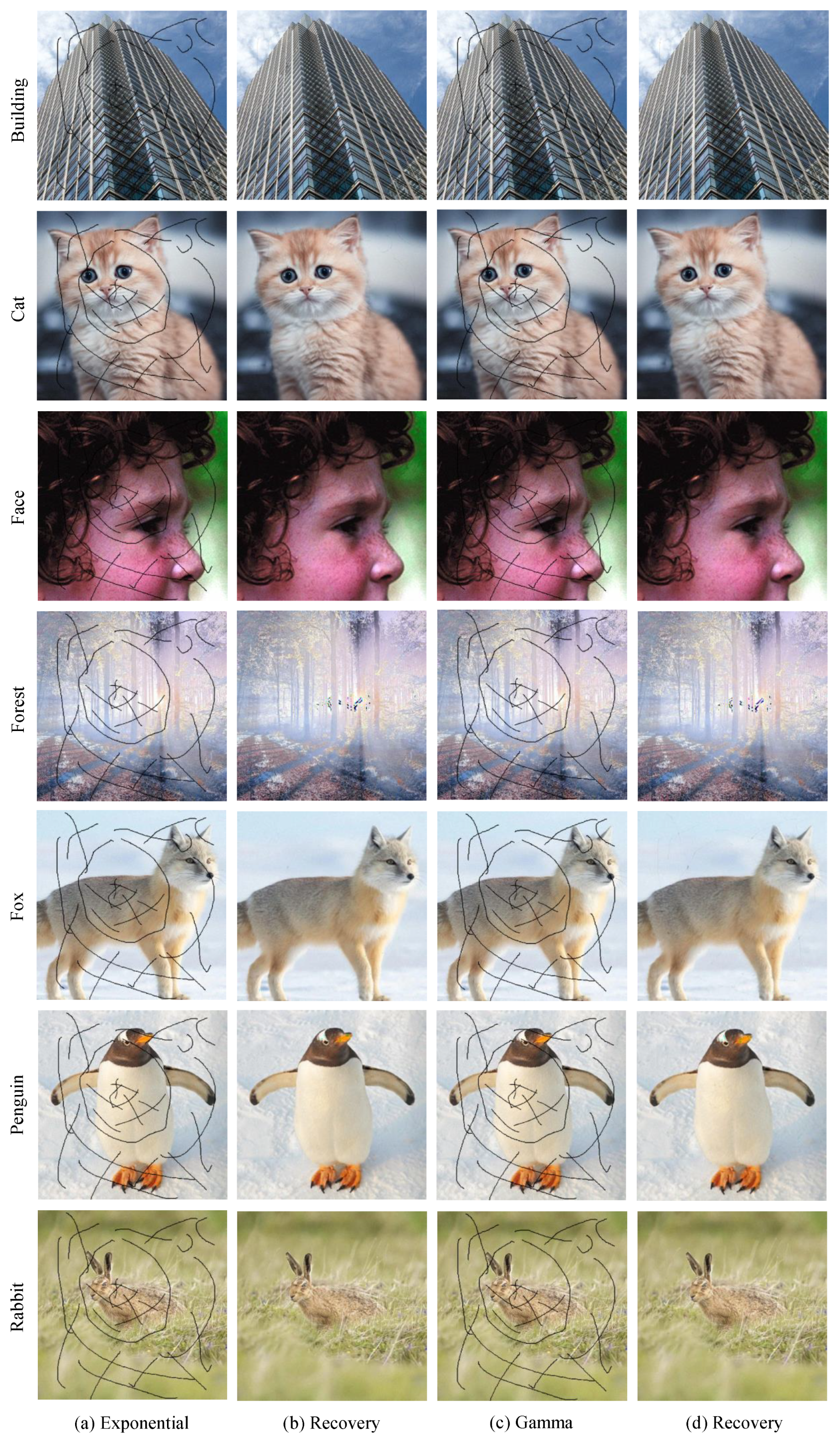 Mathematics 13 02254 g038