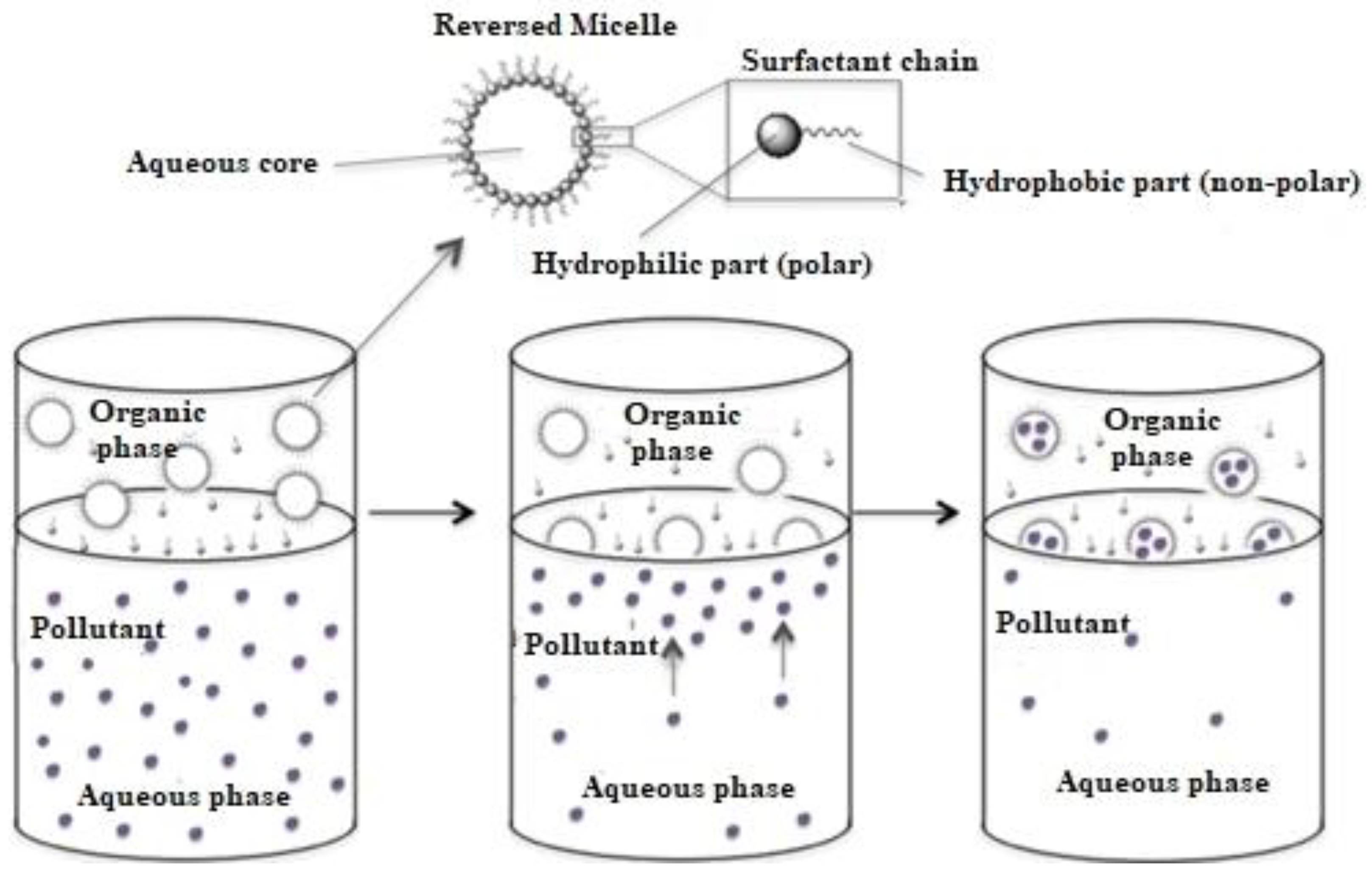 Mathematics 13 02308 g001