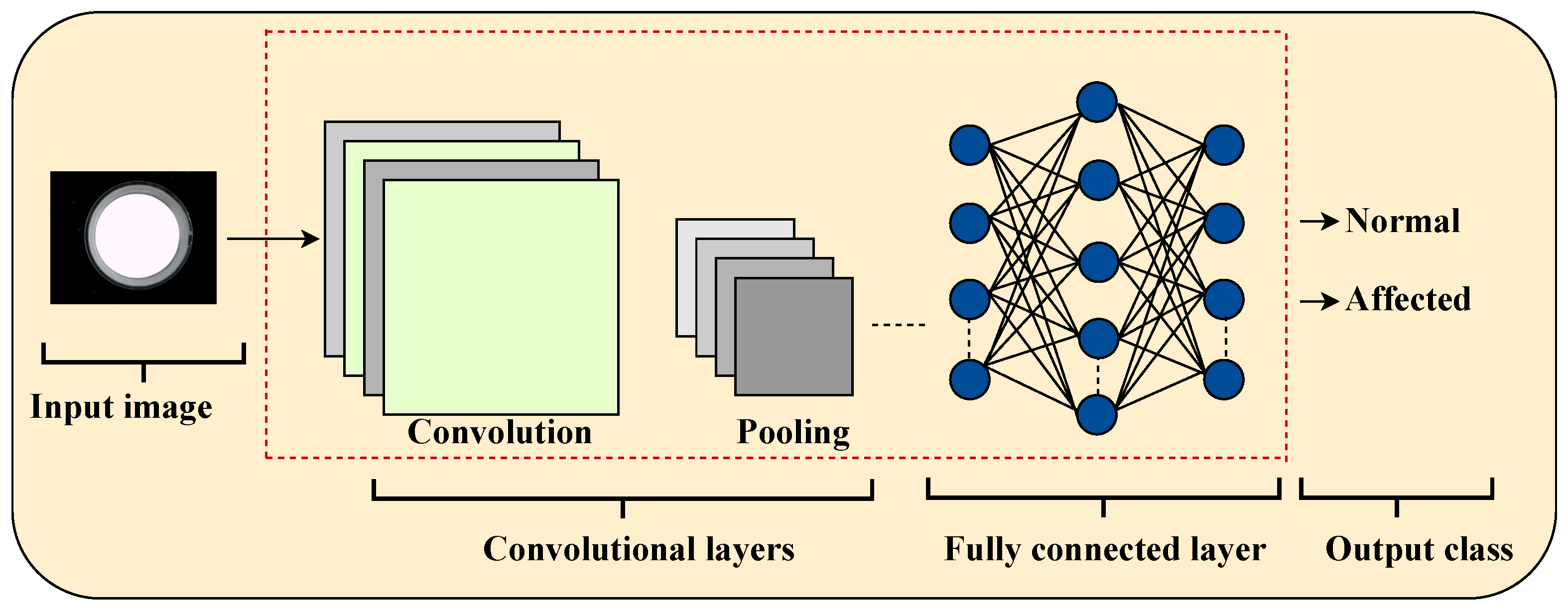 Mathematics 13 02507 g001