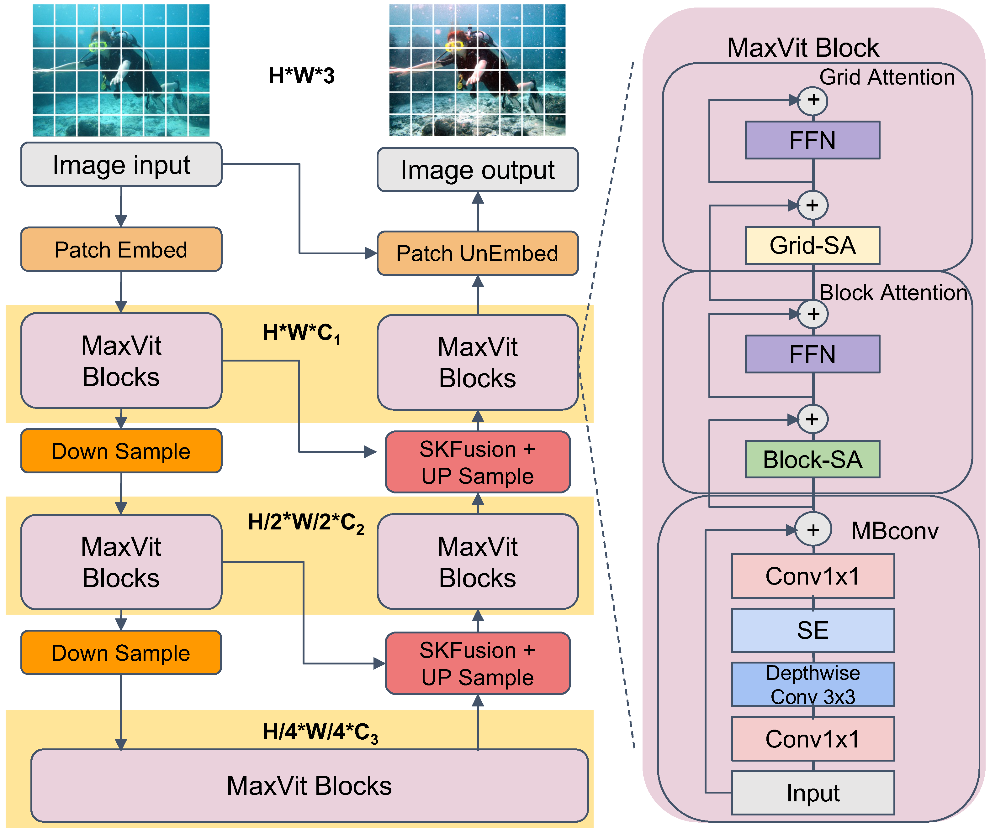 Mathematics 13 02535 g001 Mathematics 13 02535 g001