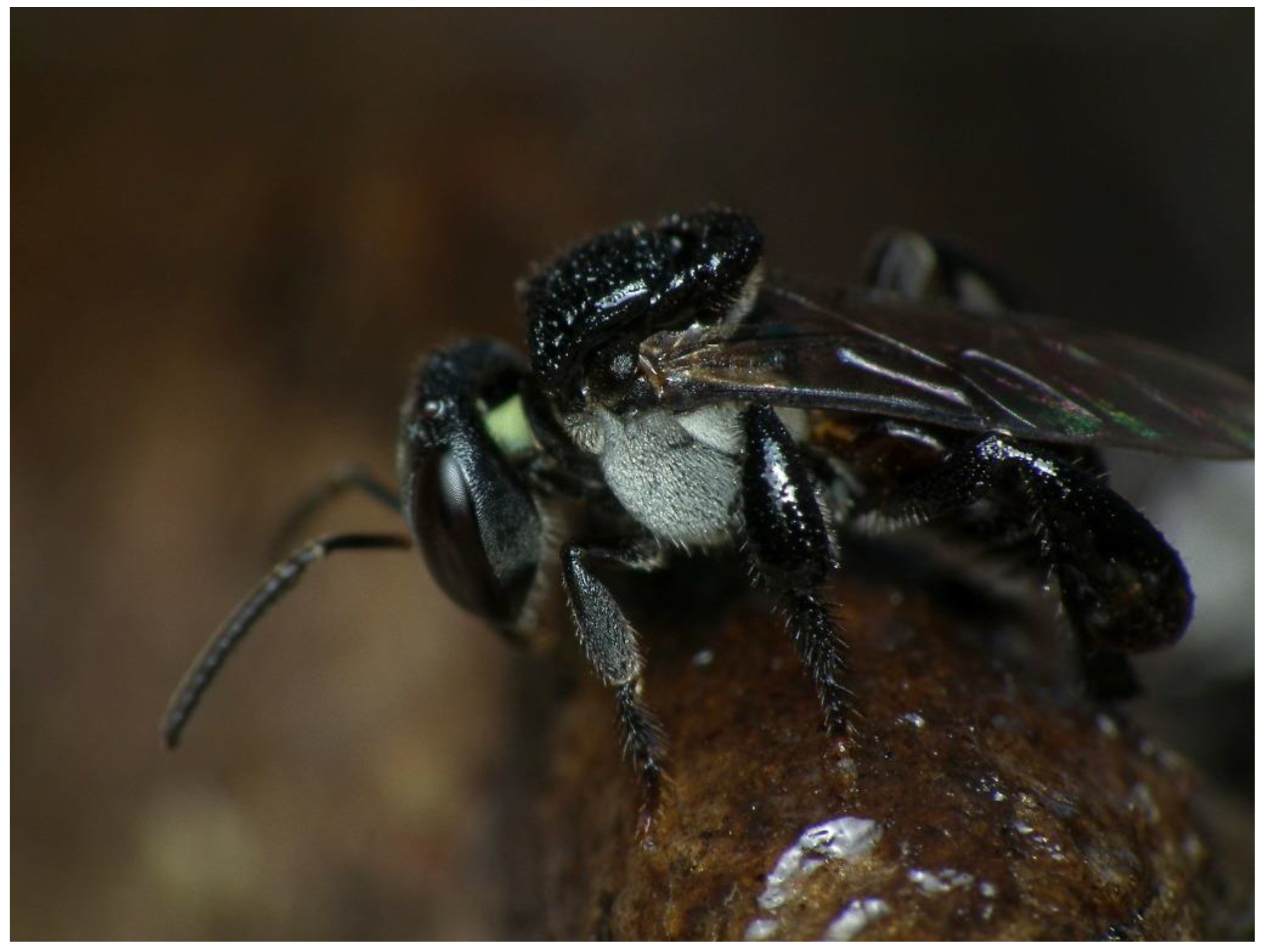 Mathematics 13 02721 g003