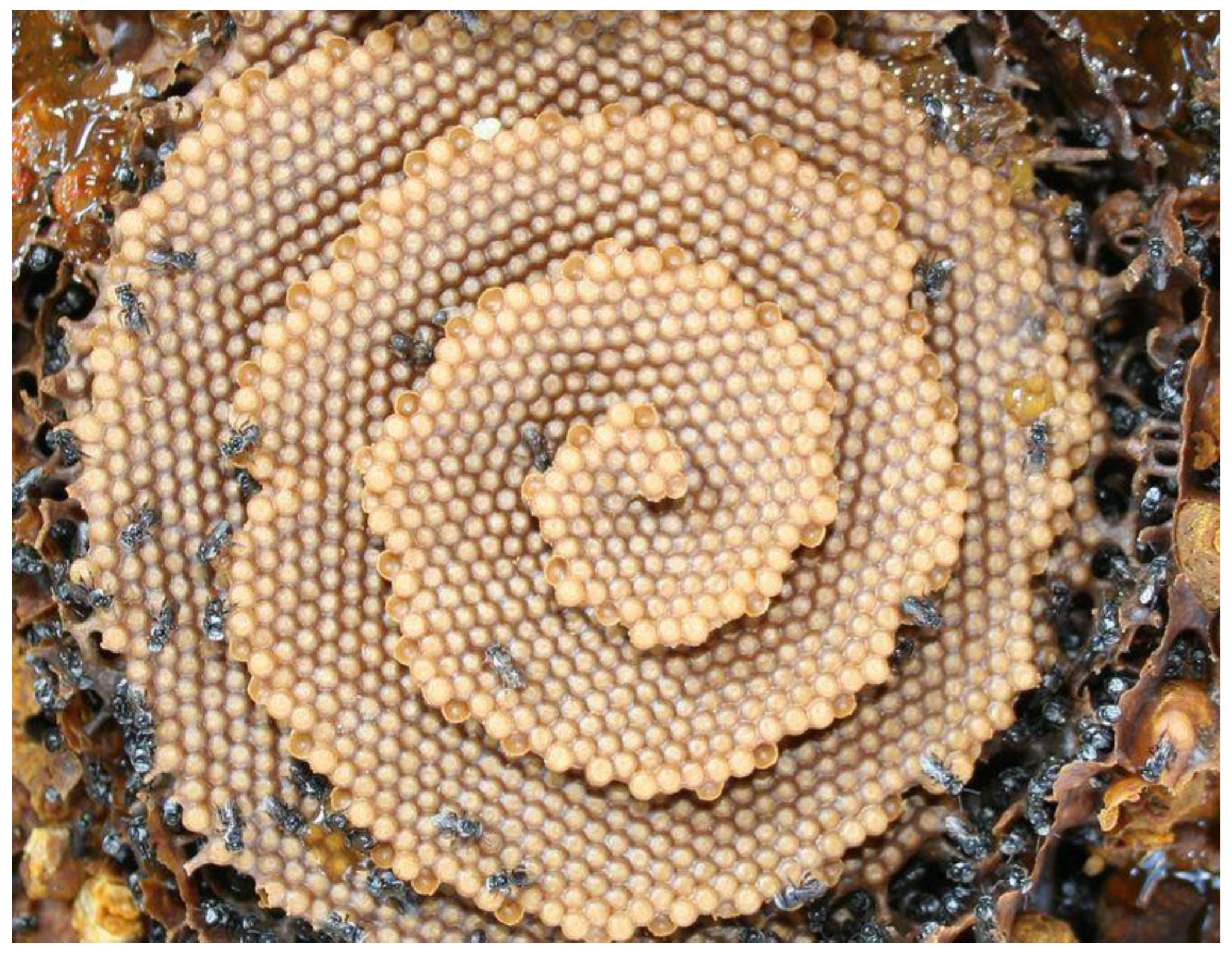 Mathematics 13 02721 g004