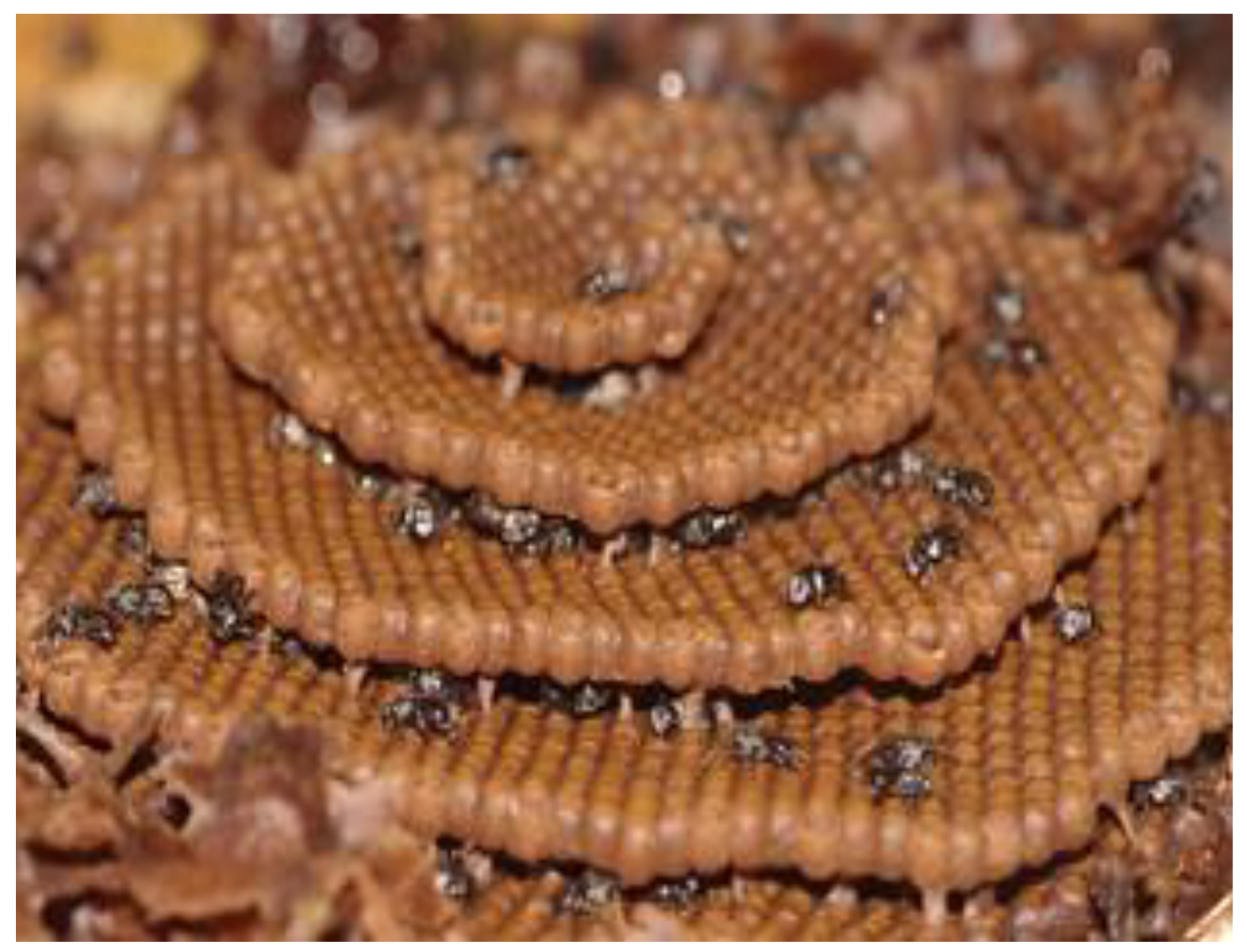 Mathematics 13 02721 g006