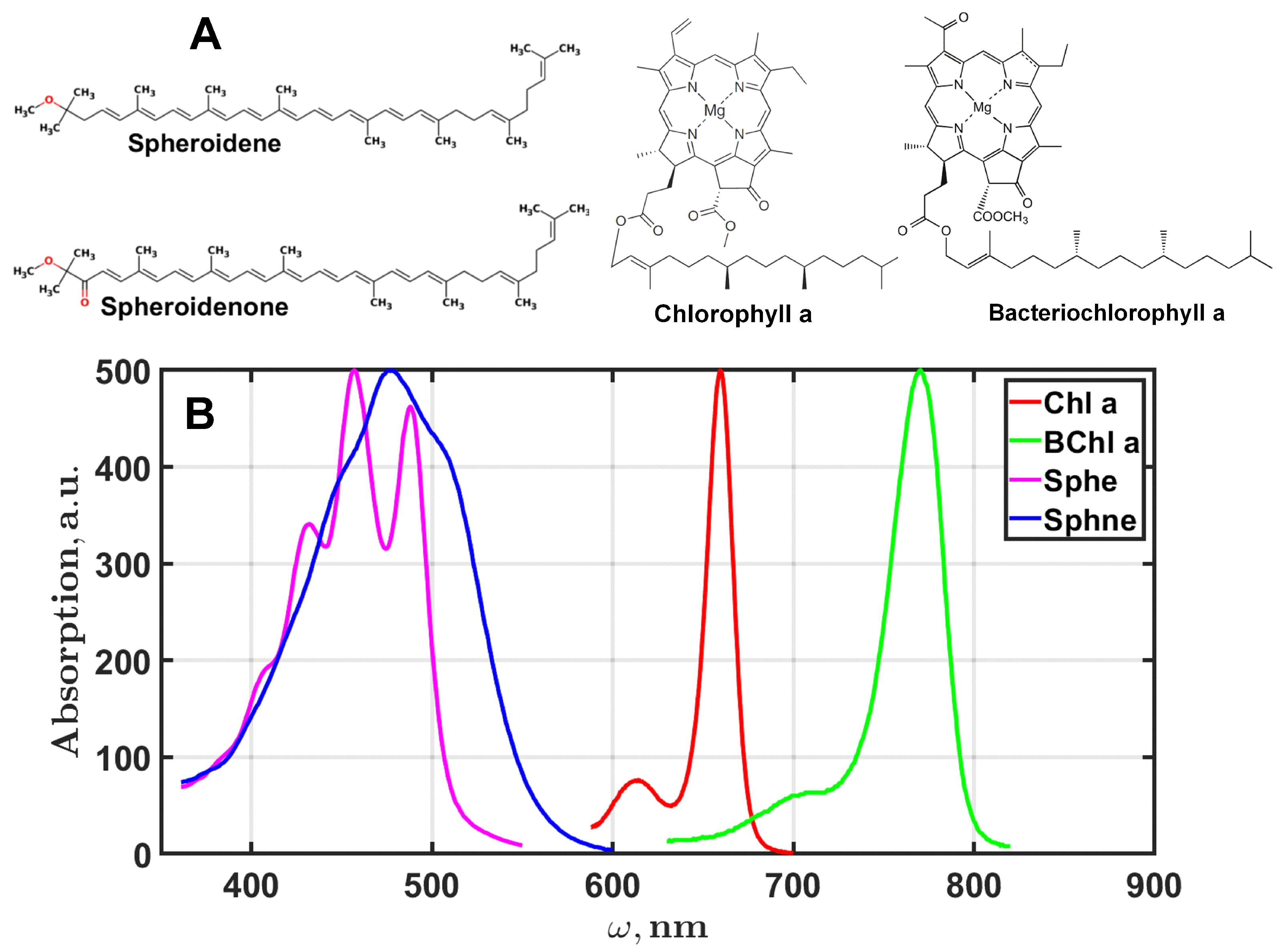 Mathematics 13 02760 g005