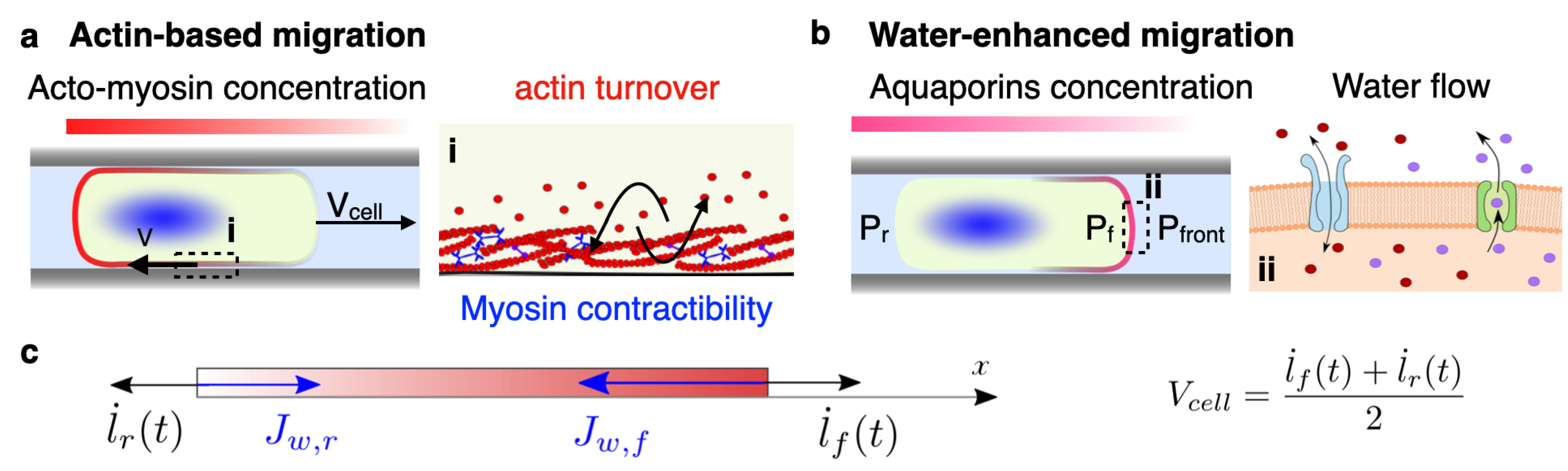 Mathematics 13 02936 g001 Mathematics 13 02936 g001