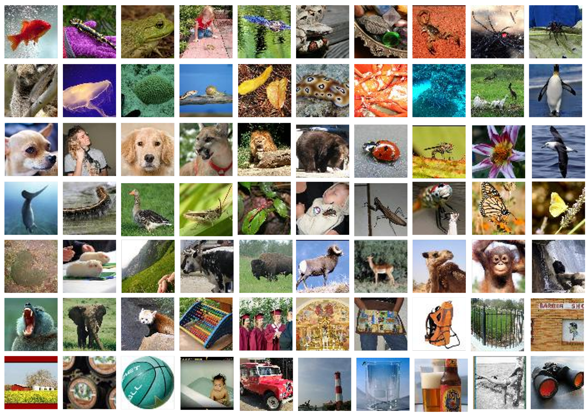 Mathematics 13 02988 g005