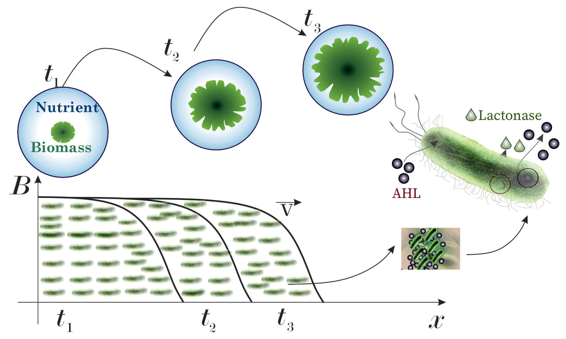 Mathematics 13 03013 g002 Mathematics 13 03013 g002